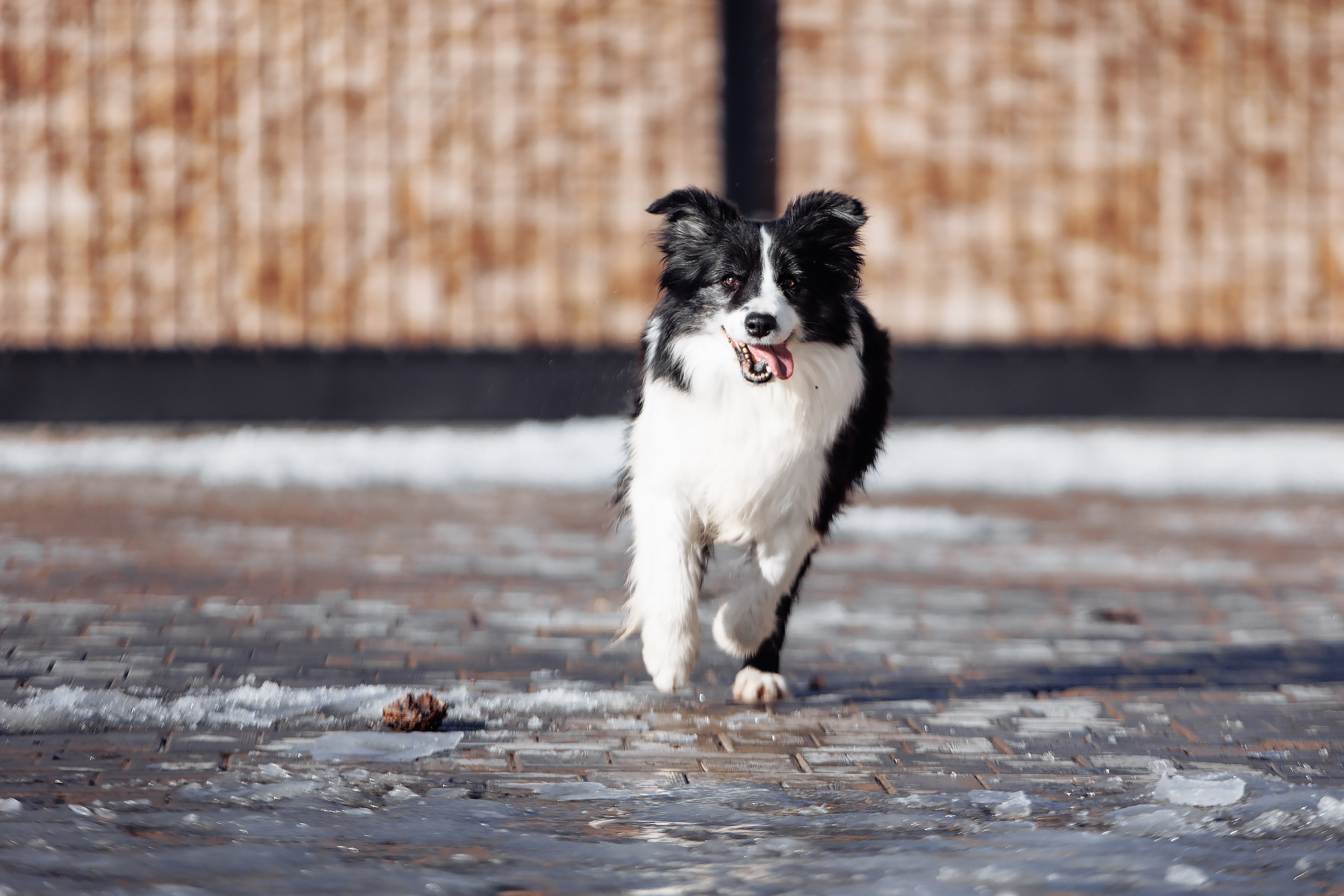 Пока таяло. О нас