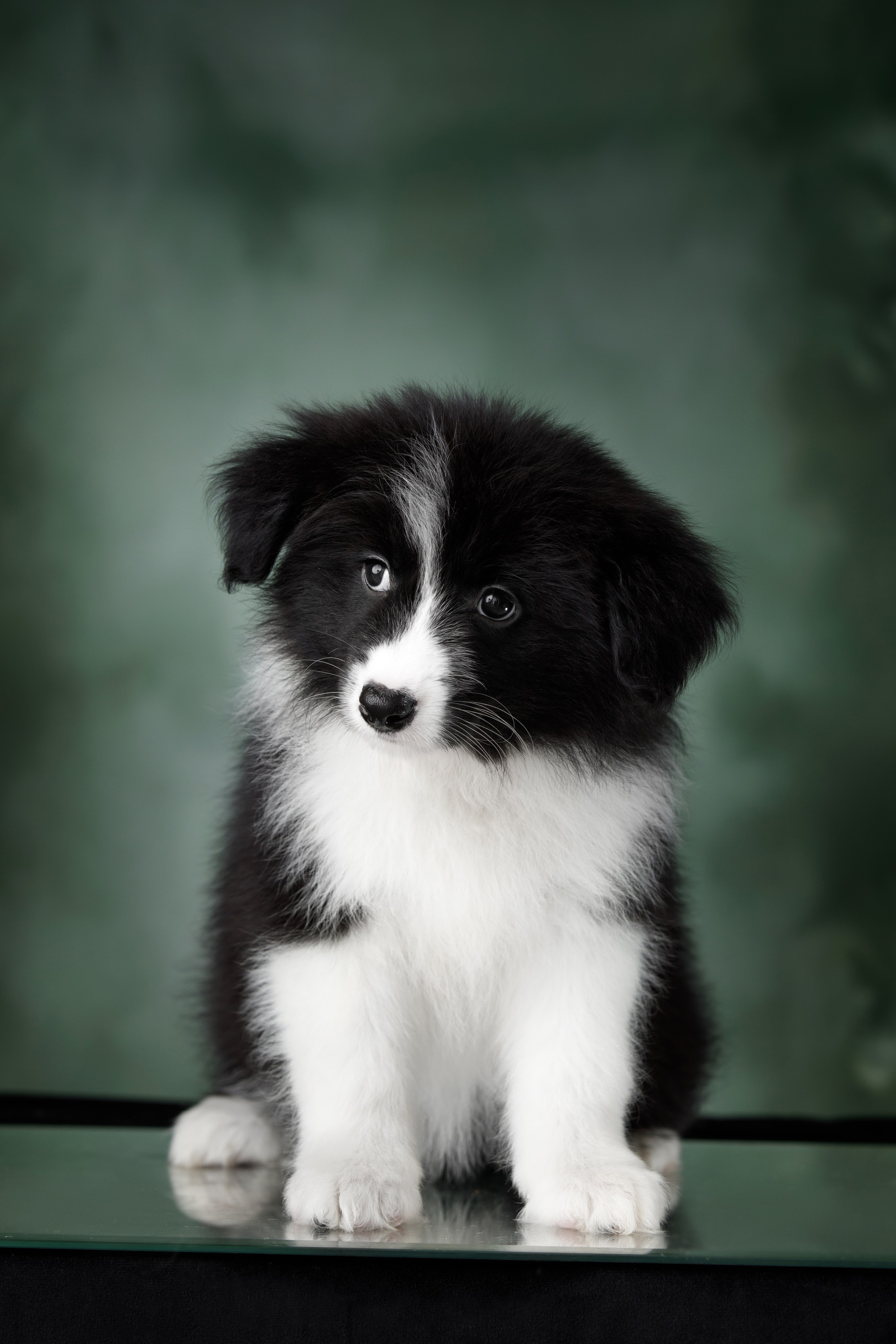 Март. Весна. 22. О нас