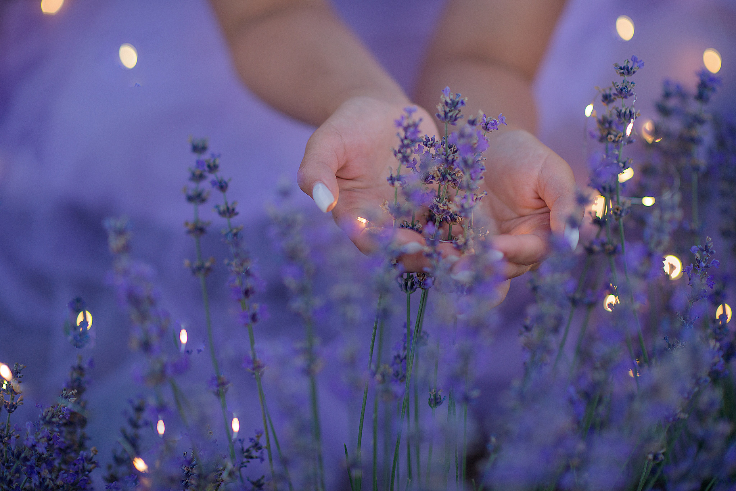 Крымская Лаванда. Семейный и детский фотограф в Севастополе. Семейный фотограф в Ялте
