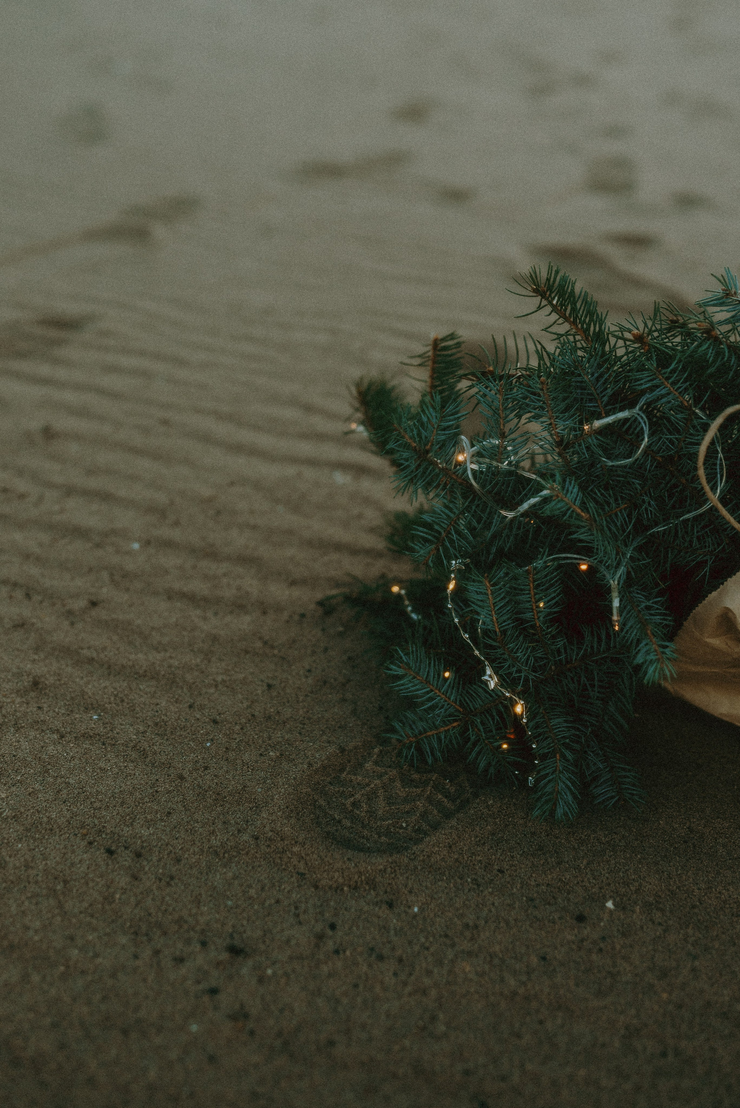 Индивидуальные. Индивидуальный и lovestory фотограф в Самаре. Никонорова Наталья