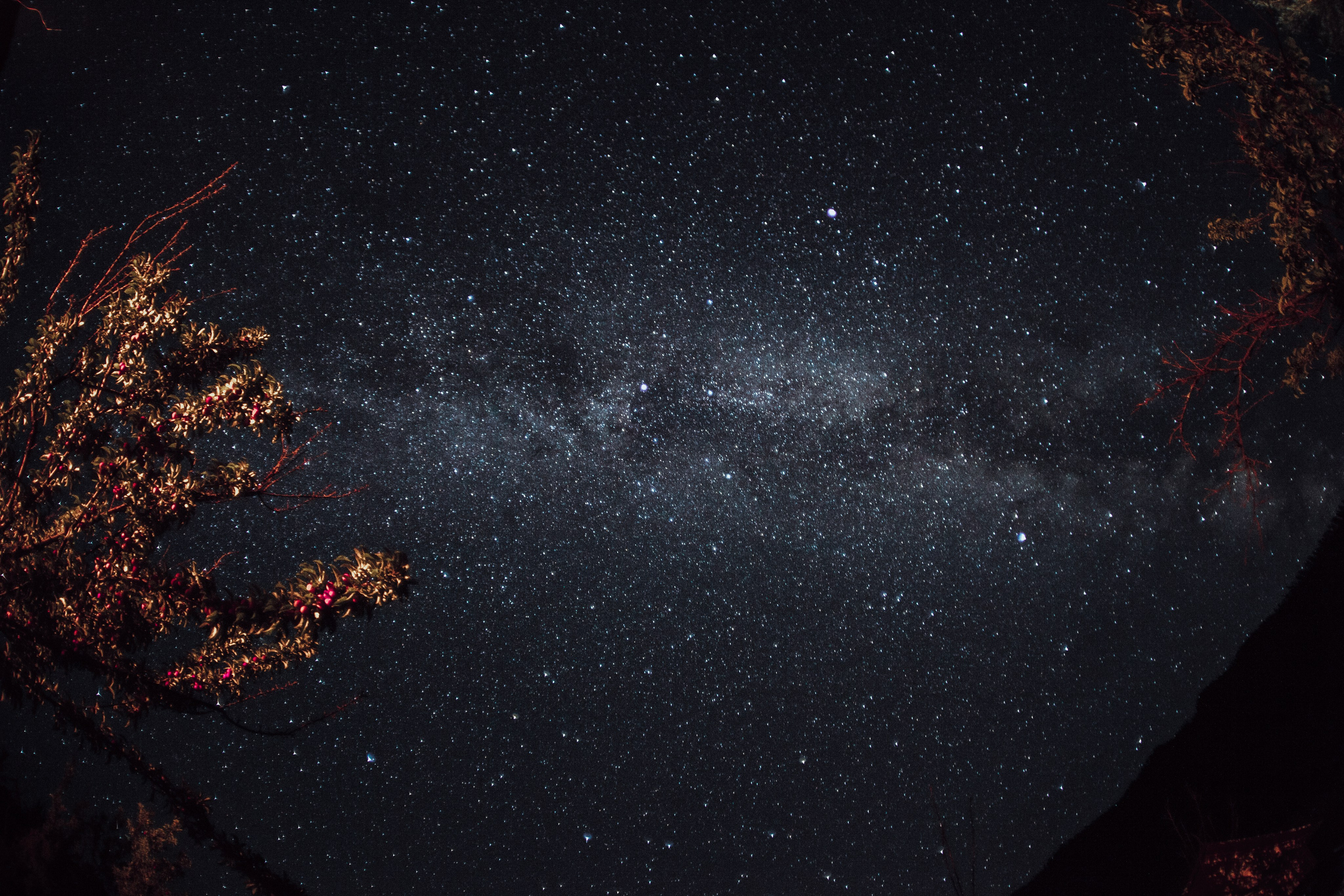 Пейзажное фото. Ню Фотограф Александр Касымов Москва, фотосессии, Химки фотограф