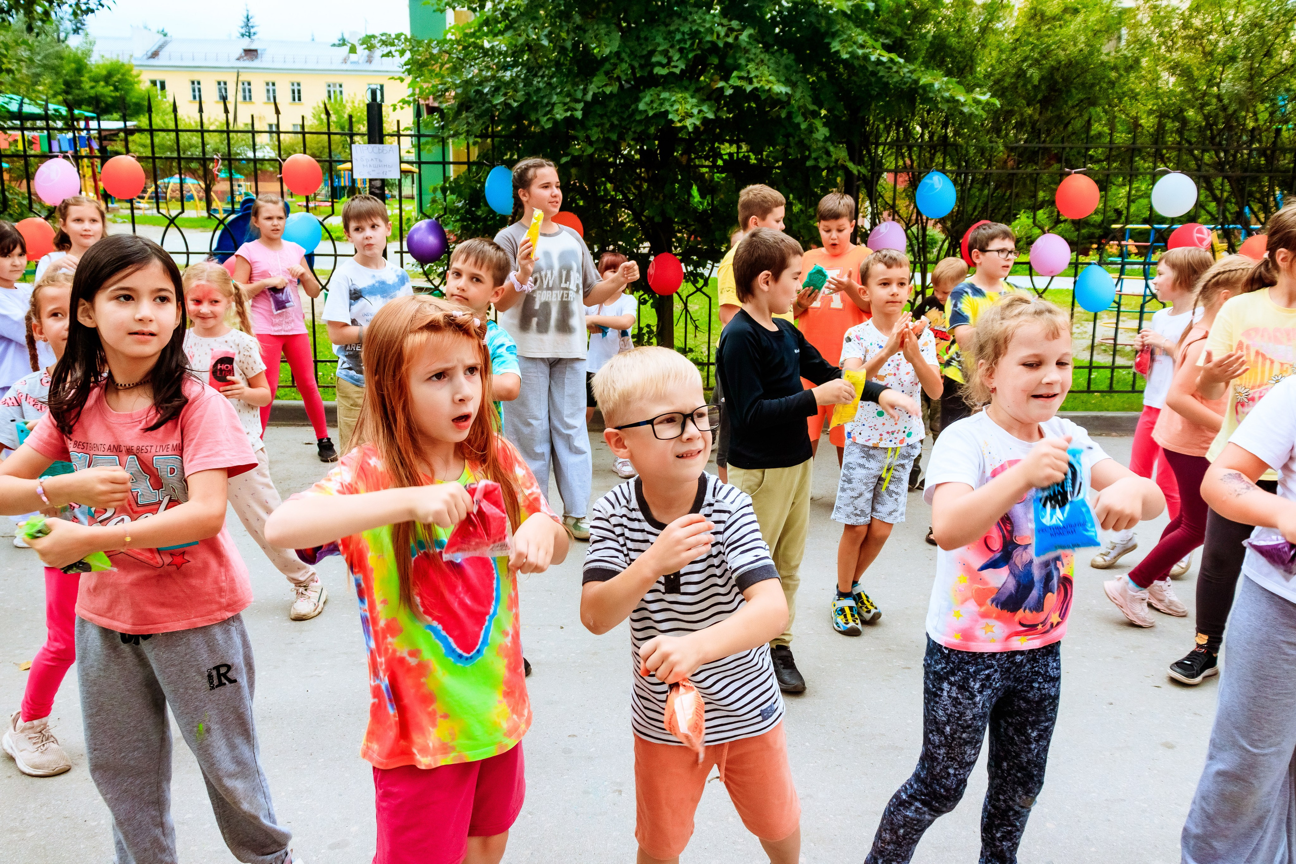 Краски Холли. Фотограф — Новосибирск