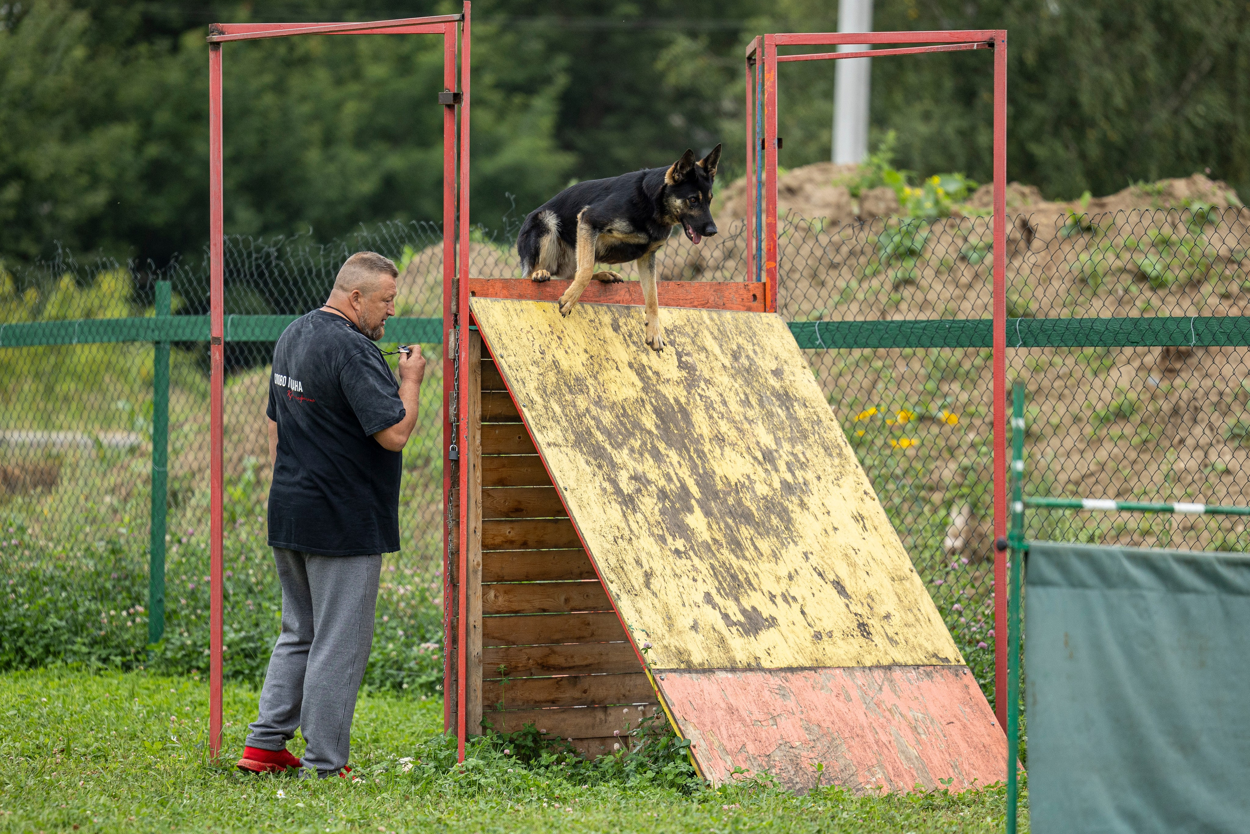 Соревнования по Мондьорингу г. Вологда 10-11.08.2024. Фотограф-анималист Анна Маринич