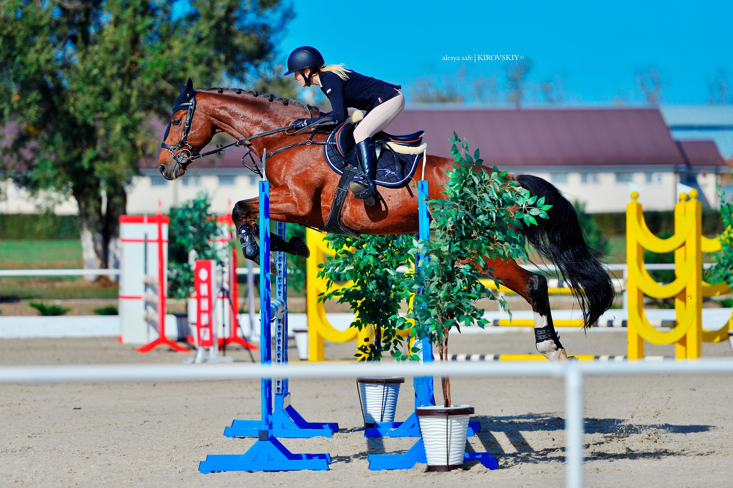 Кировский конный завод. Конный фотограф Alesya Safe
