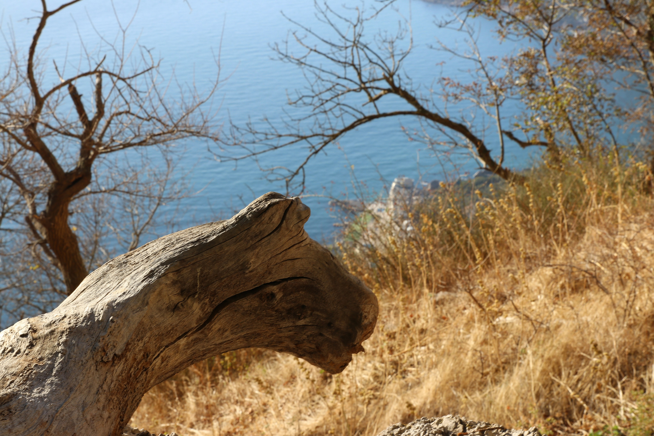 Крым. ЮБК (Гурзуф, Судак и их окрестности). Ноябрь 2023. Путешественник-фотограф из Санкт-Петербурга Татьяна Свистулина