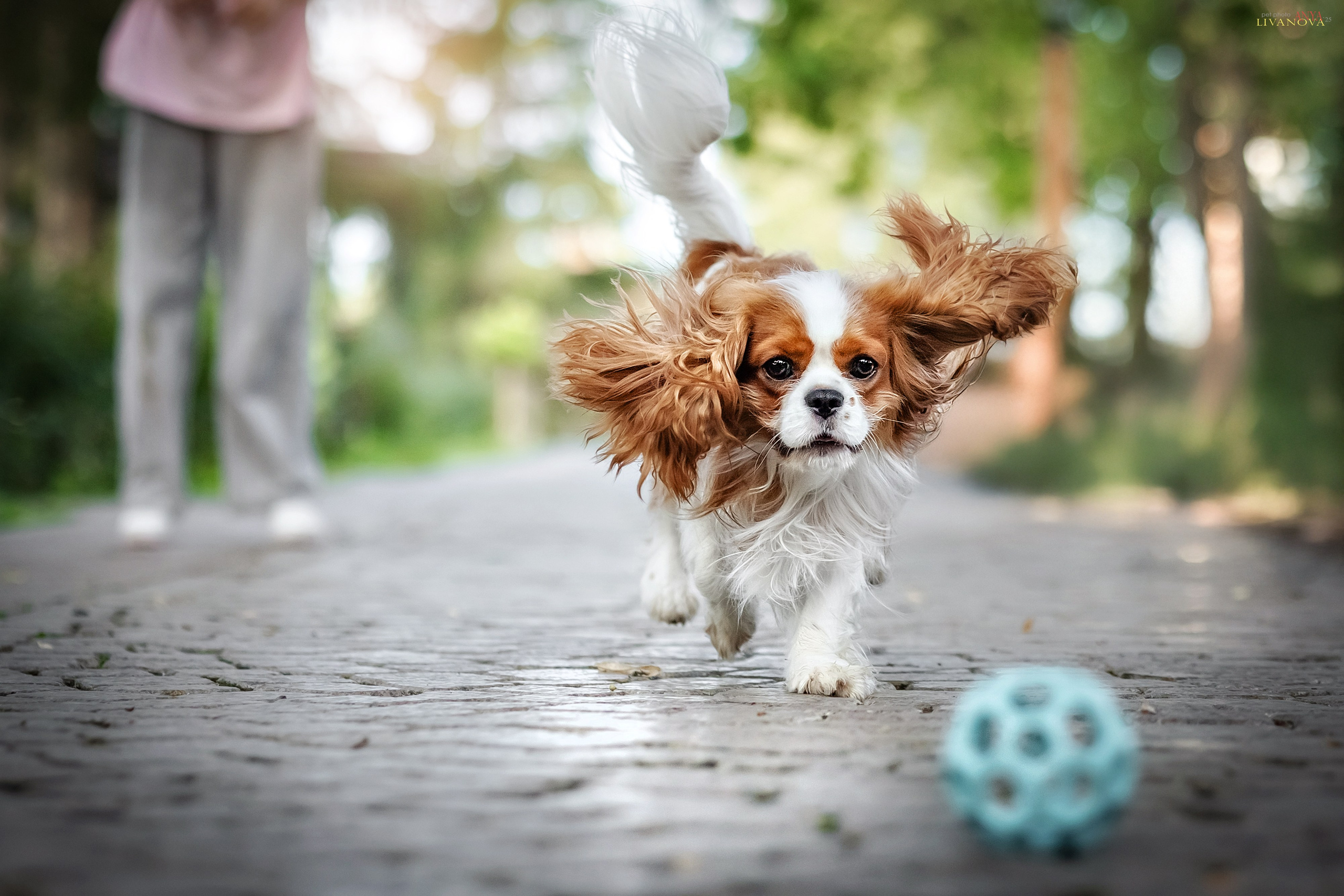 Маруся и Энди. Фотограф анималист Аня Ливанова | Рыбинск