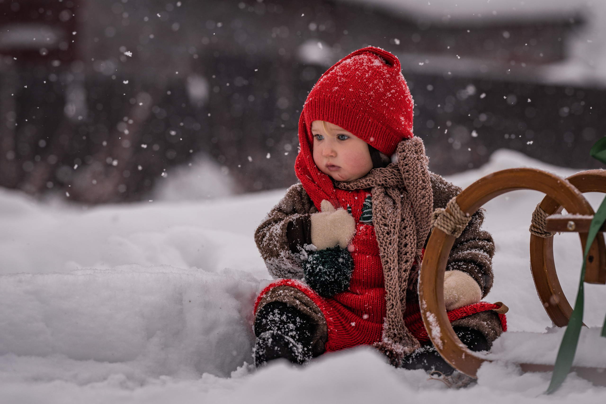 Снежная прогулка на санках. Семейный фотограф Ефремова Виктория