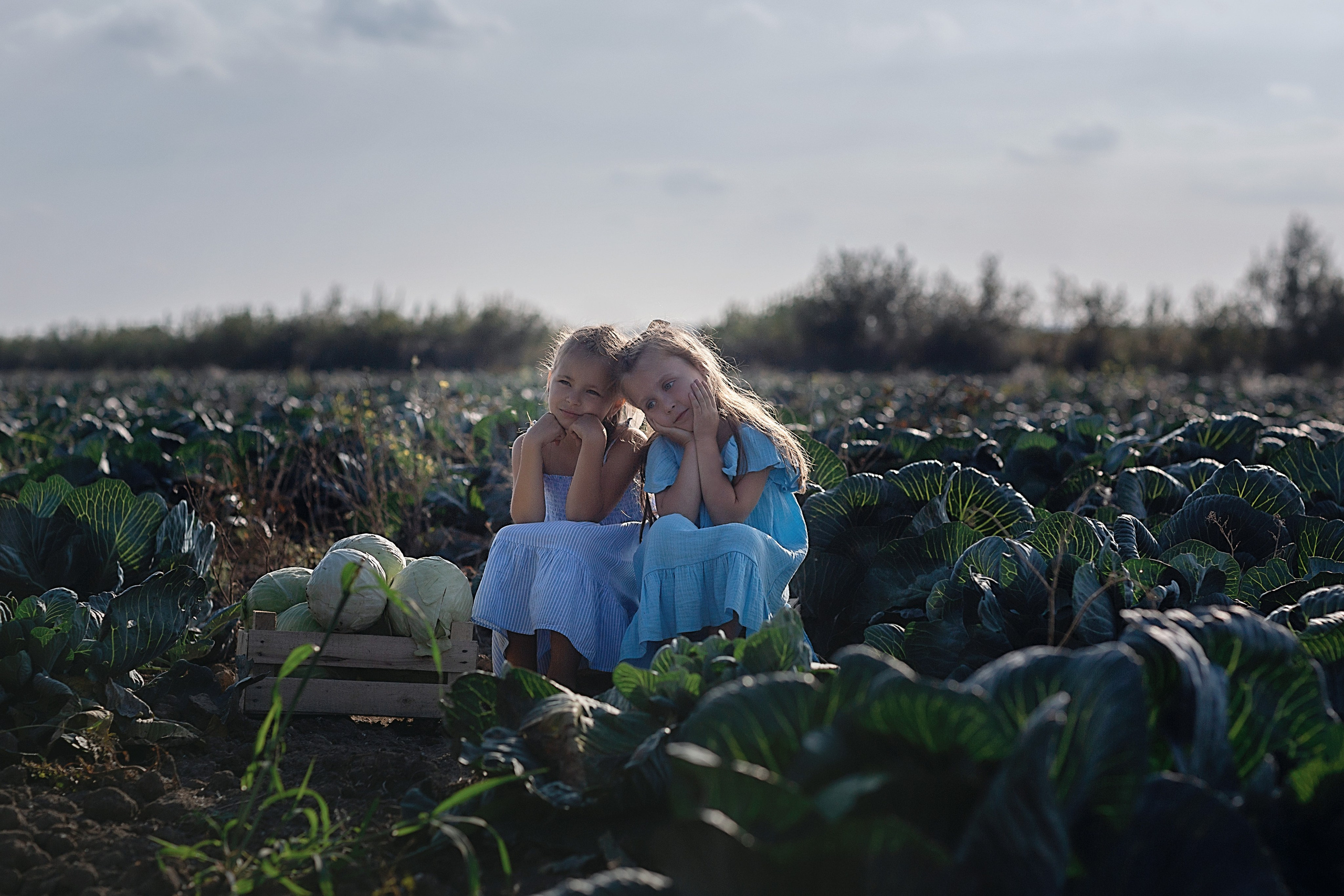 Капустное поле_Ленинградская область. Семейный фотограф в Санкт-Петербурге