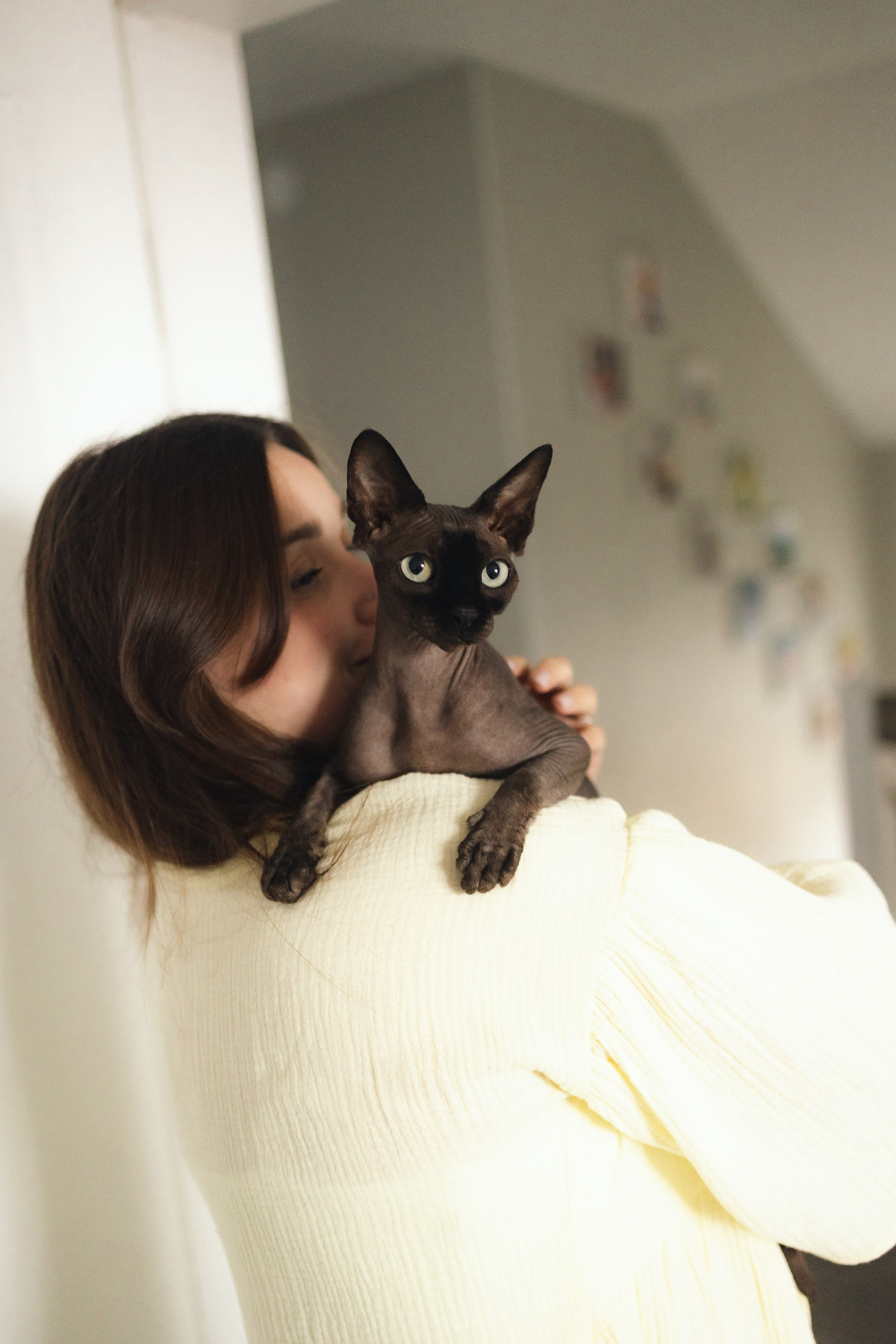 Появление брата. Фотограф из Петербурга