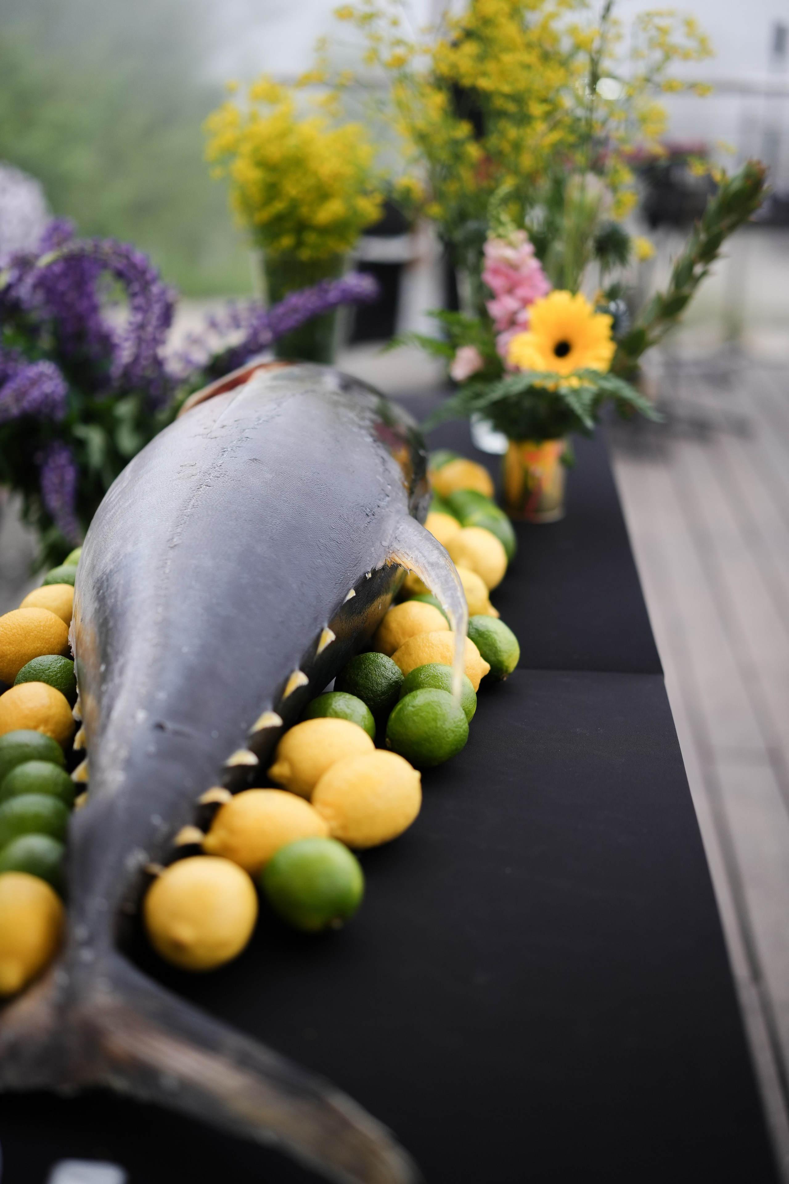 GASTREET. Фотограф. Москва