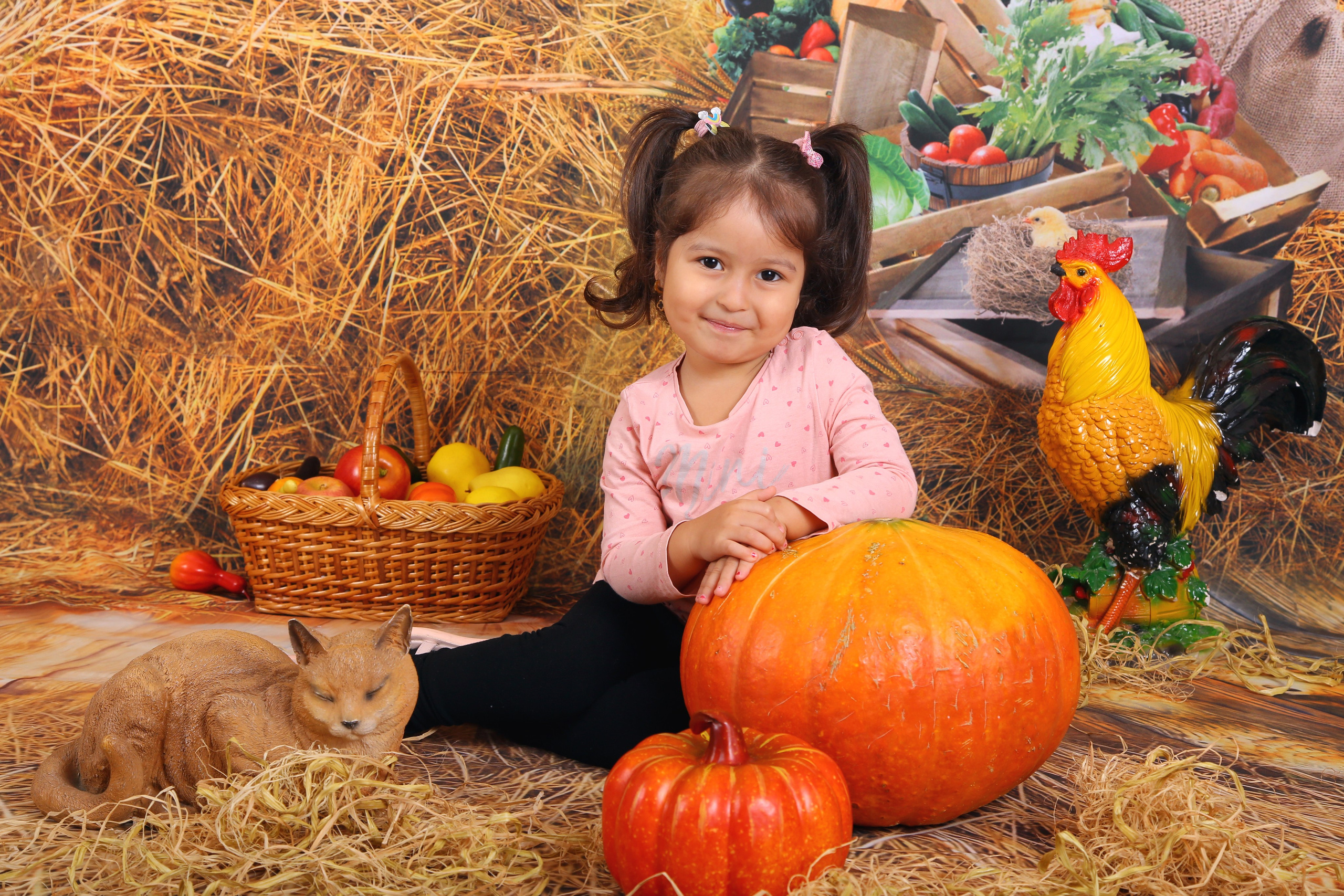 Удачный урожай. Выпускные альбомы в Нижнем Новгороде | Фотостудия Звездочет | Никулина Наталья