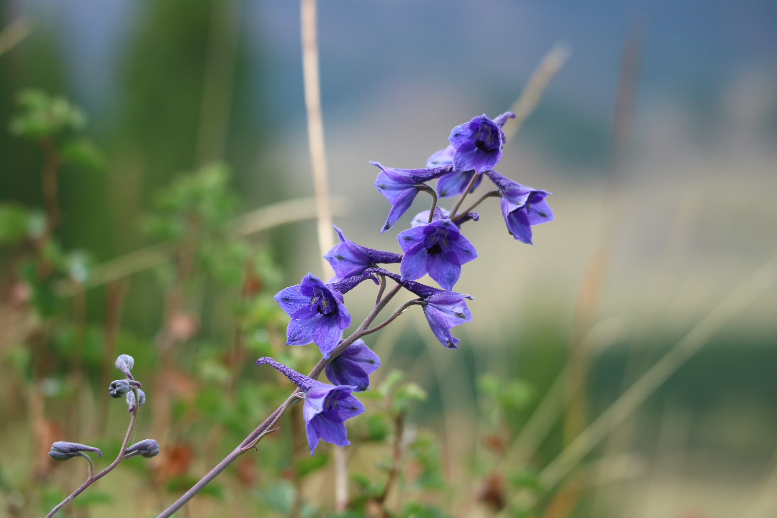 Travels. Репортажный и тревел фотограф Мокеров А.С