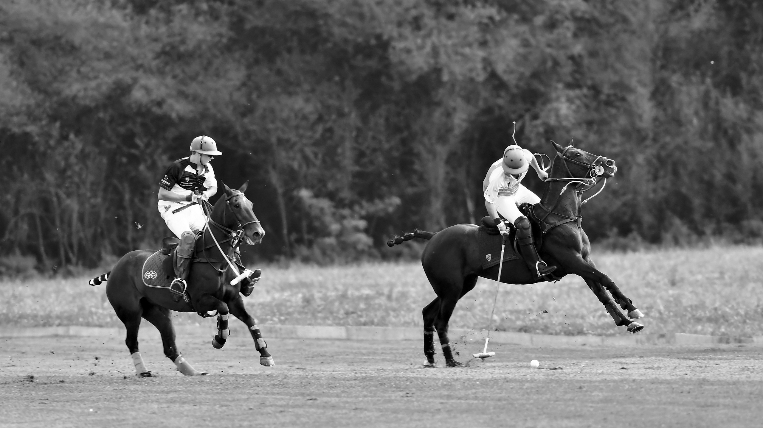 Polo art photos. Art photos of horses — ARTUR BABOEV | Photographer