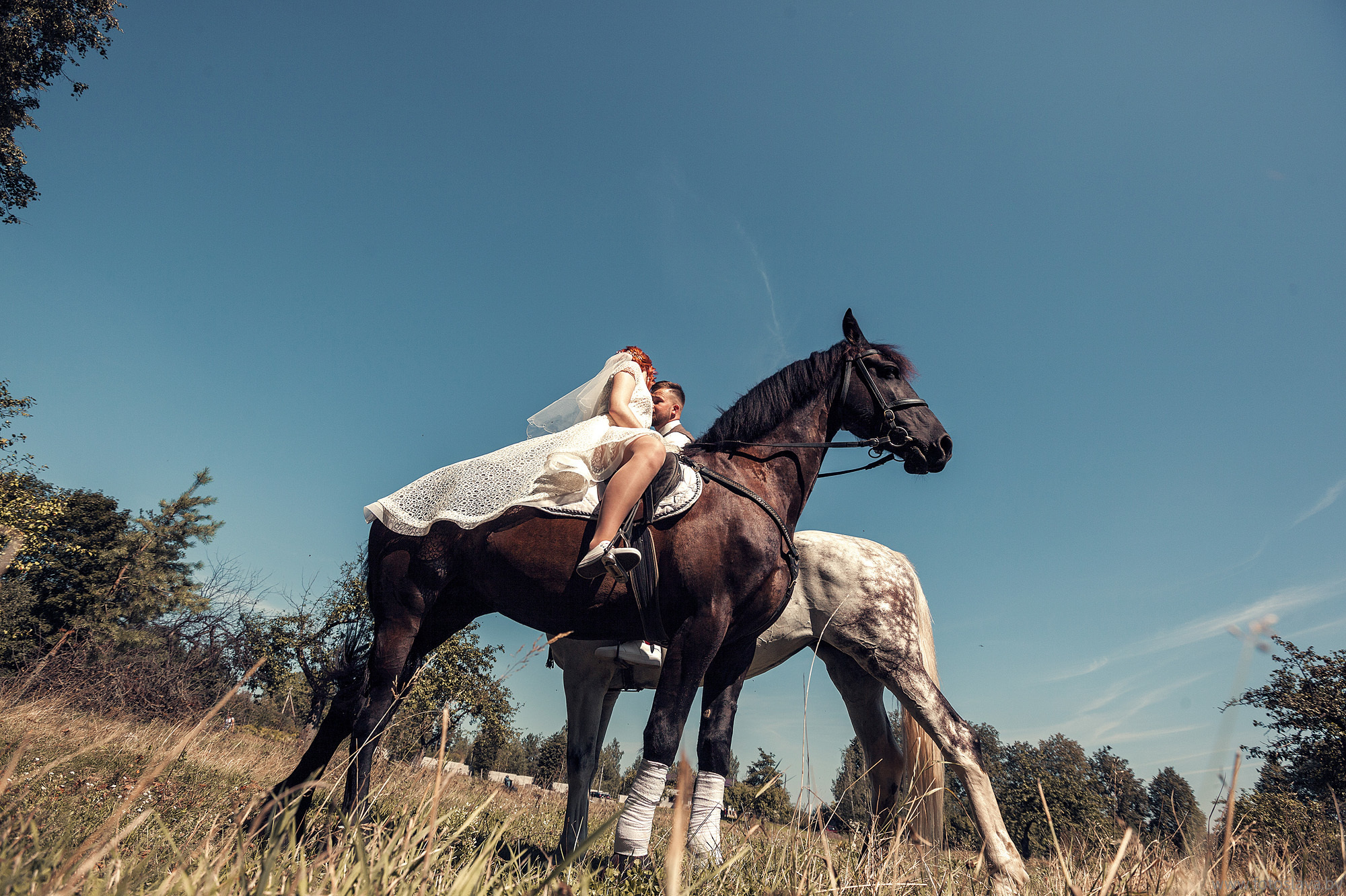 жених с невестой сидя на лошадях целуются.