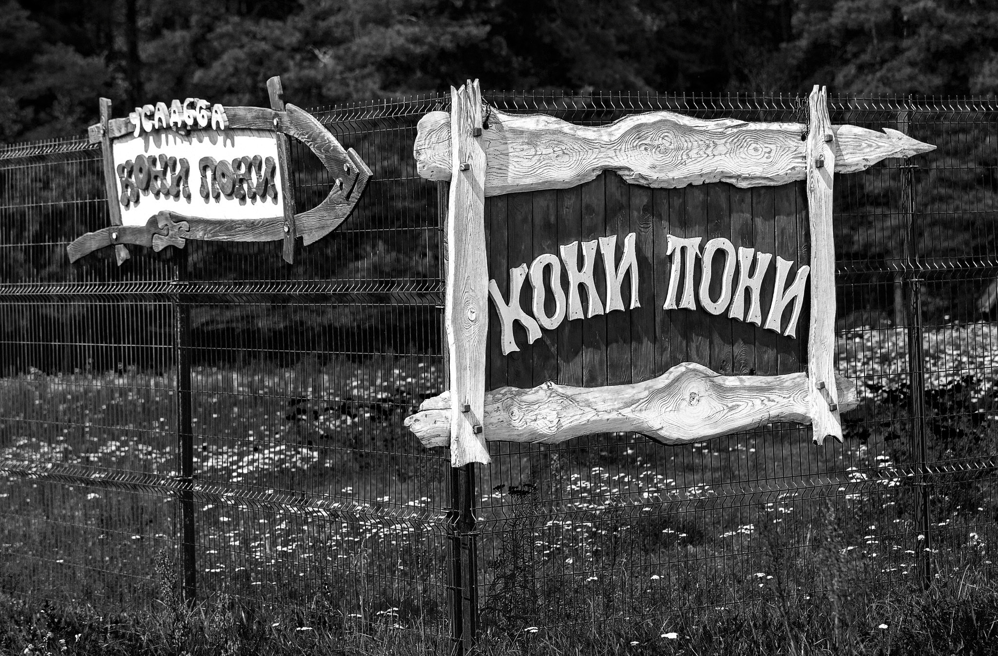 название агроусадьбы в рамочке из дерева.