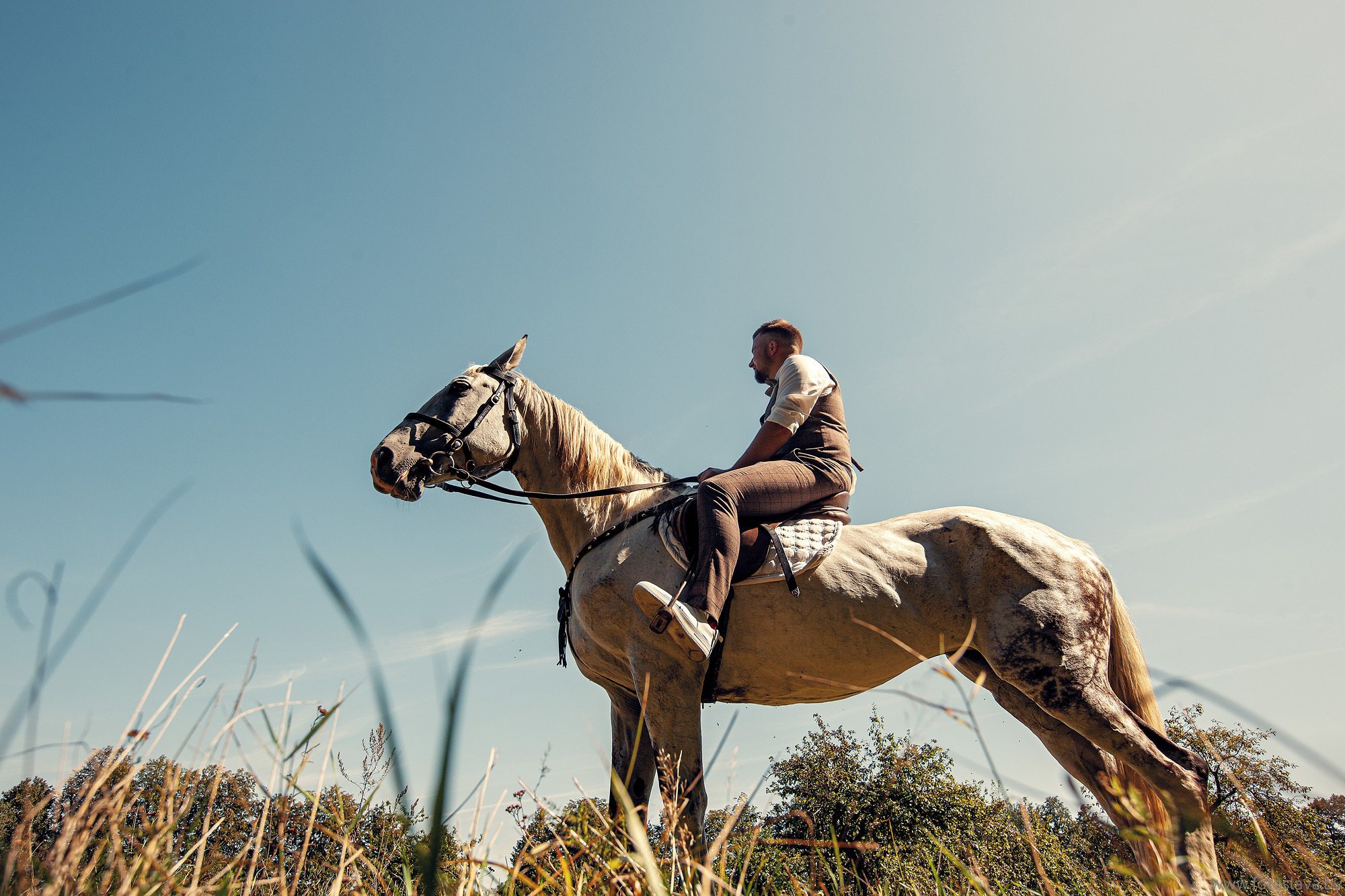 жених сидит на лошади на фоне неба, снято с нижнего ракурса.