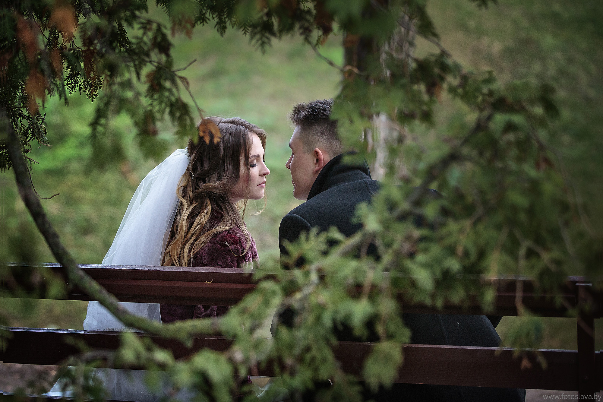 жених и невеста на скамейке разговаривают ,вид сзади, в рамке из листьев.