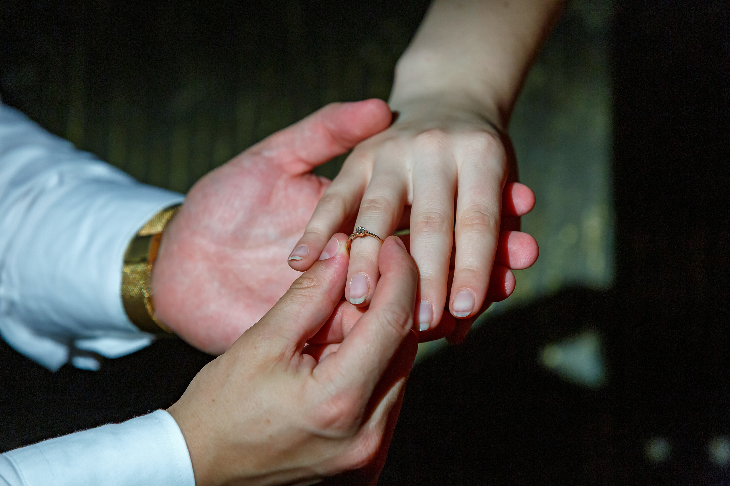 Love Story или предсвадебная фотосессия в Барановичах и Несвиже. Свадебный фотограф в Барановичах Вячеслав Шах-Гусейнов, фотошкола