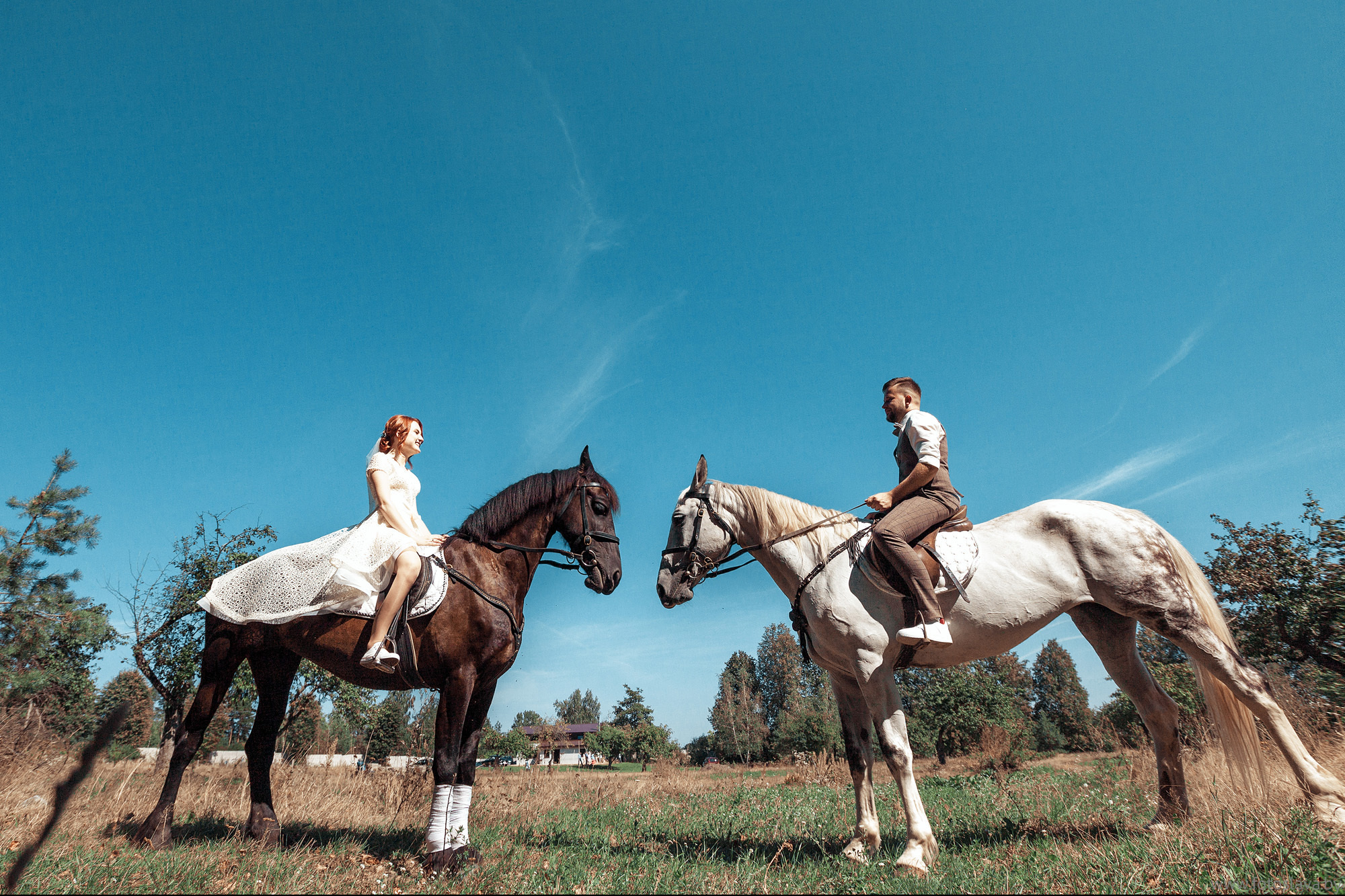жених с невестой на лошадях друг против друга на фоне неба.
