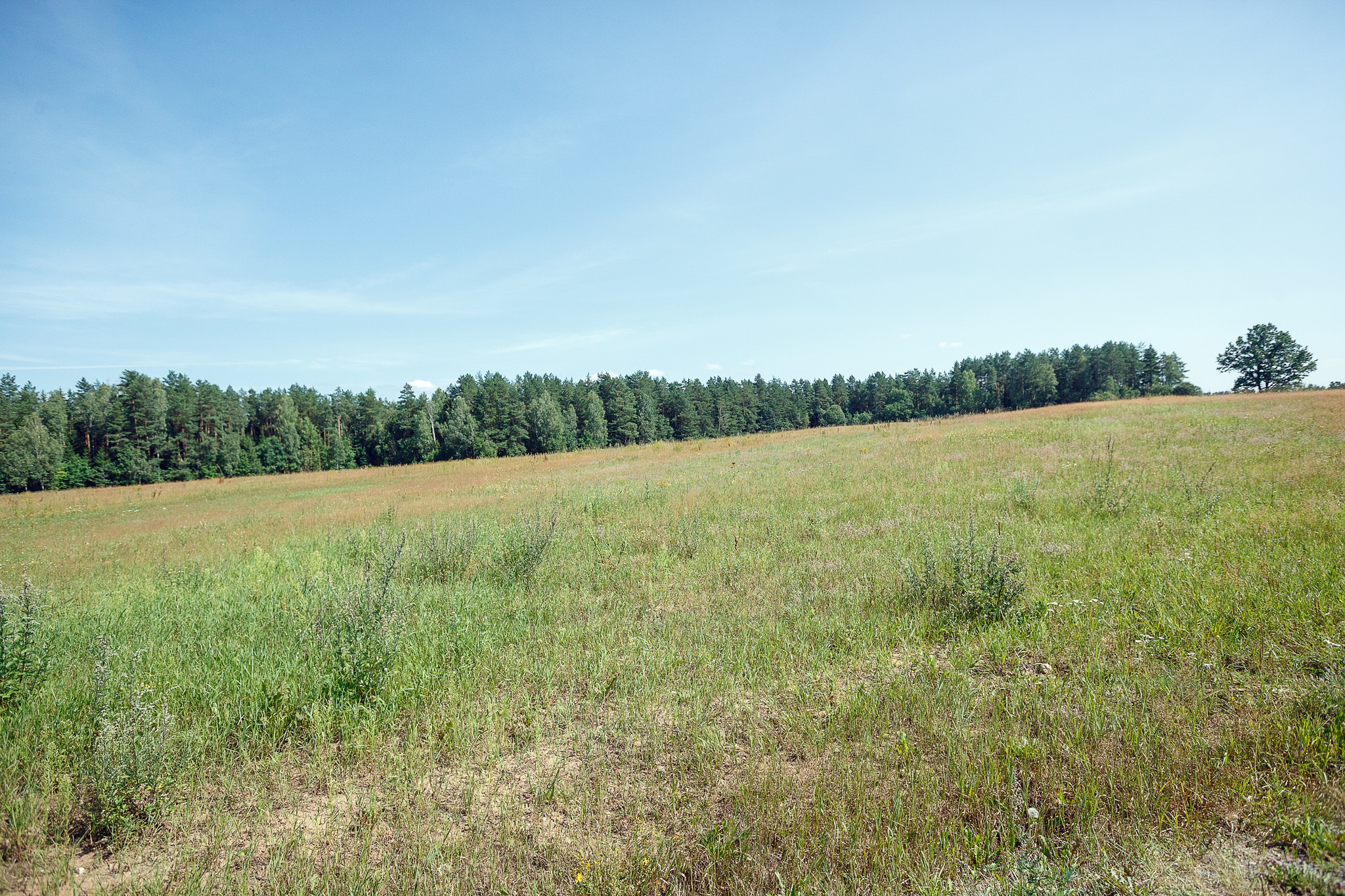 поле, синее небо.