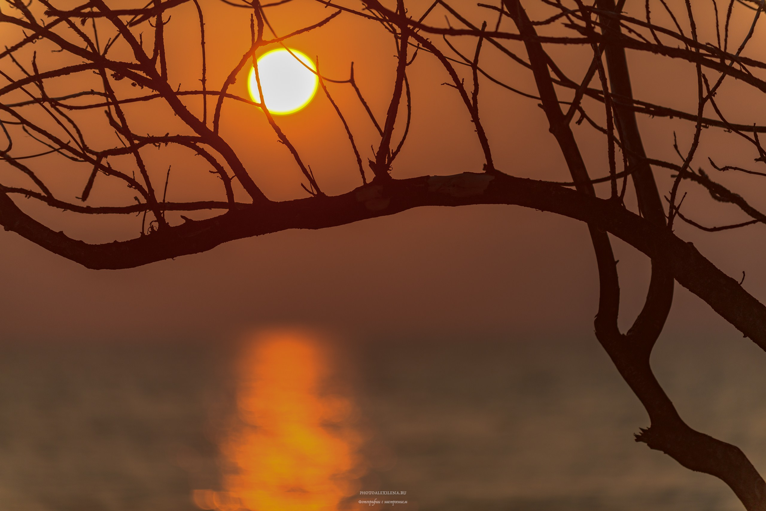 Светило в кадре. Авторские стильные фотокартины