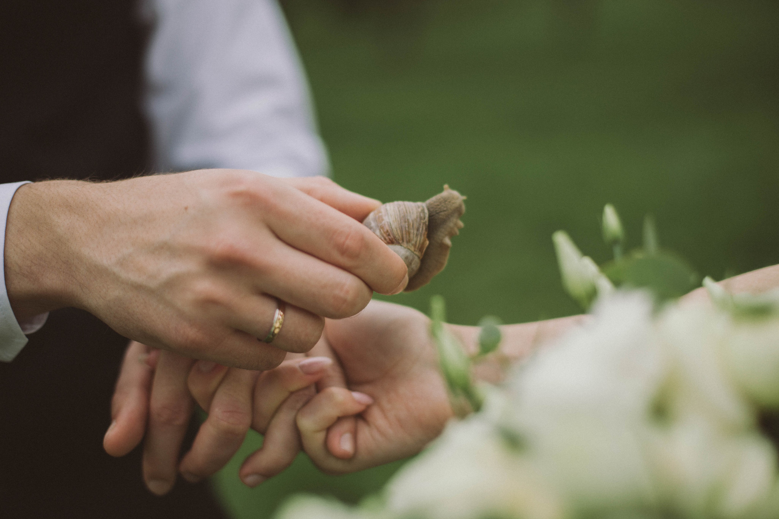 Свадебные прогулки