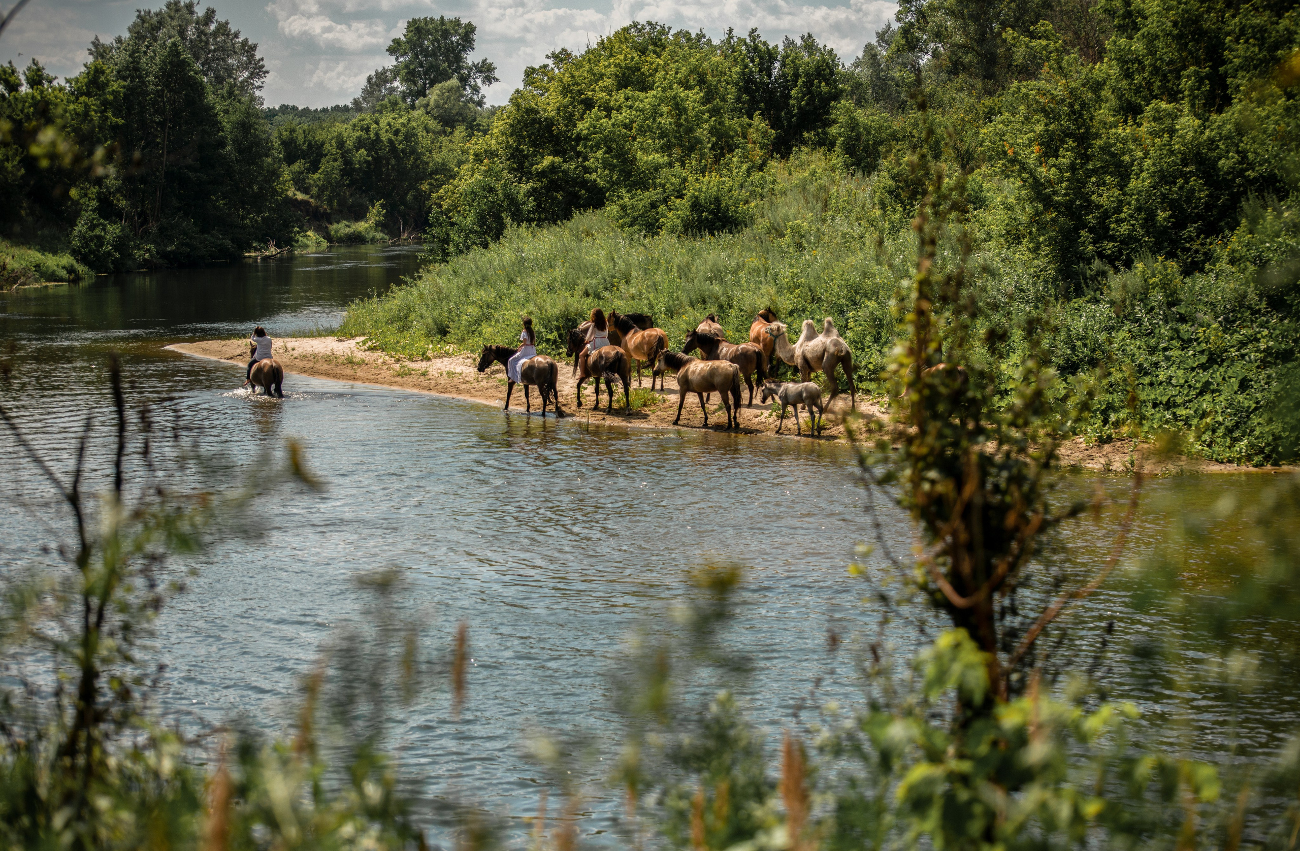 Купала в Родославном. Конный фотограф в Саратове Юлия Иванова