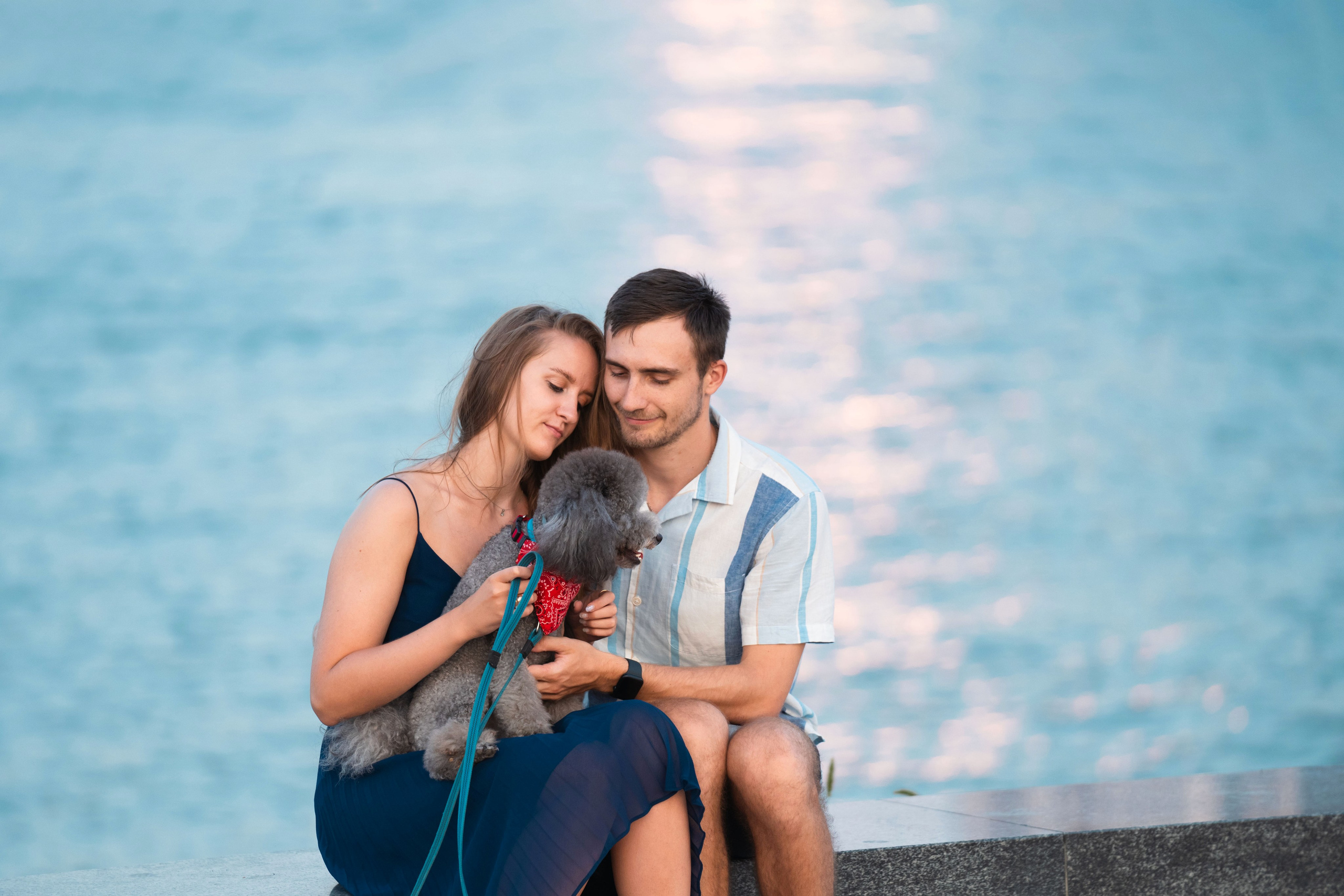 В Белграде на набережной. Фотограф анималист
