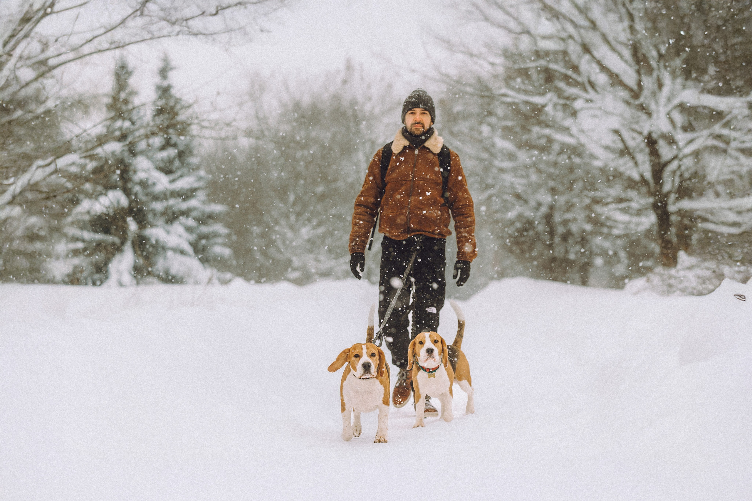 Роман, Портер и Коррес