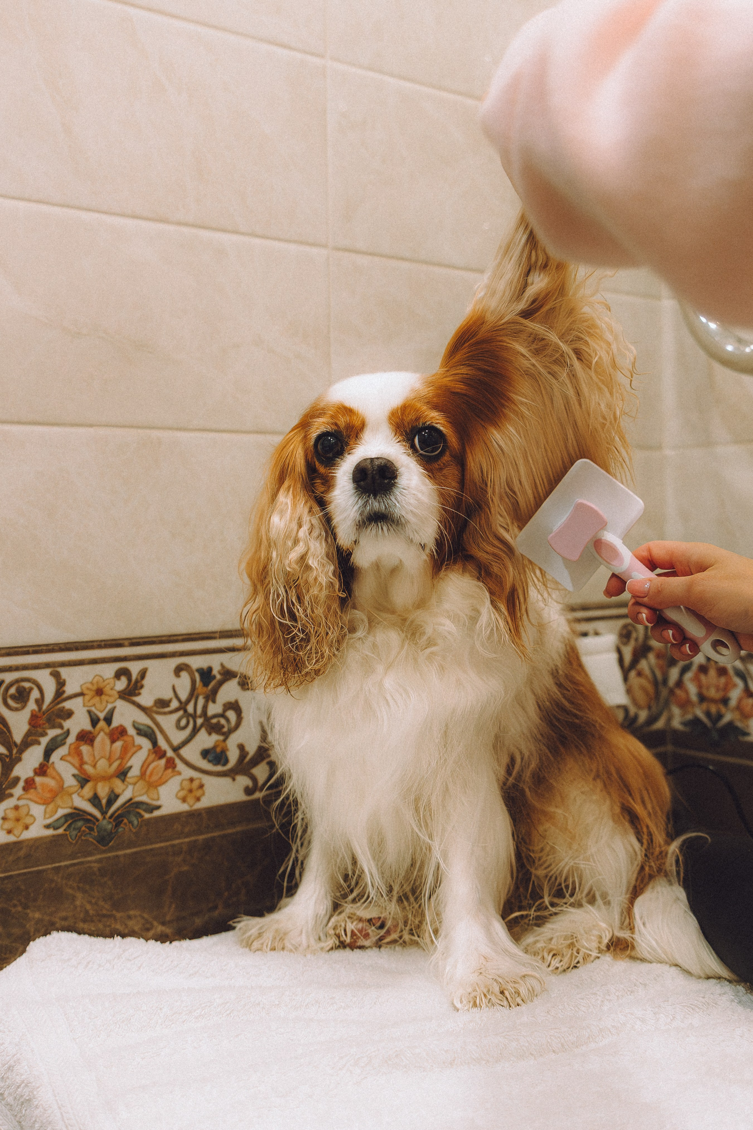 Наташа и Вики