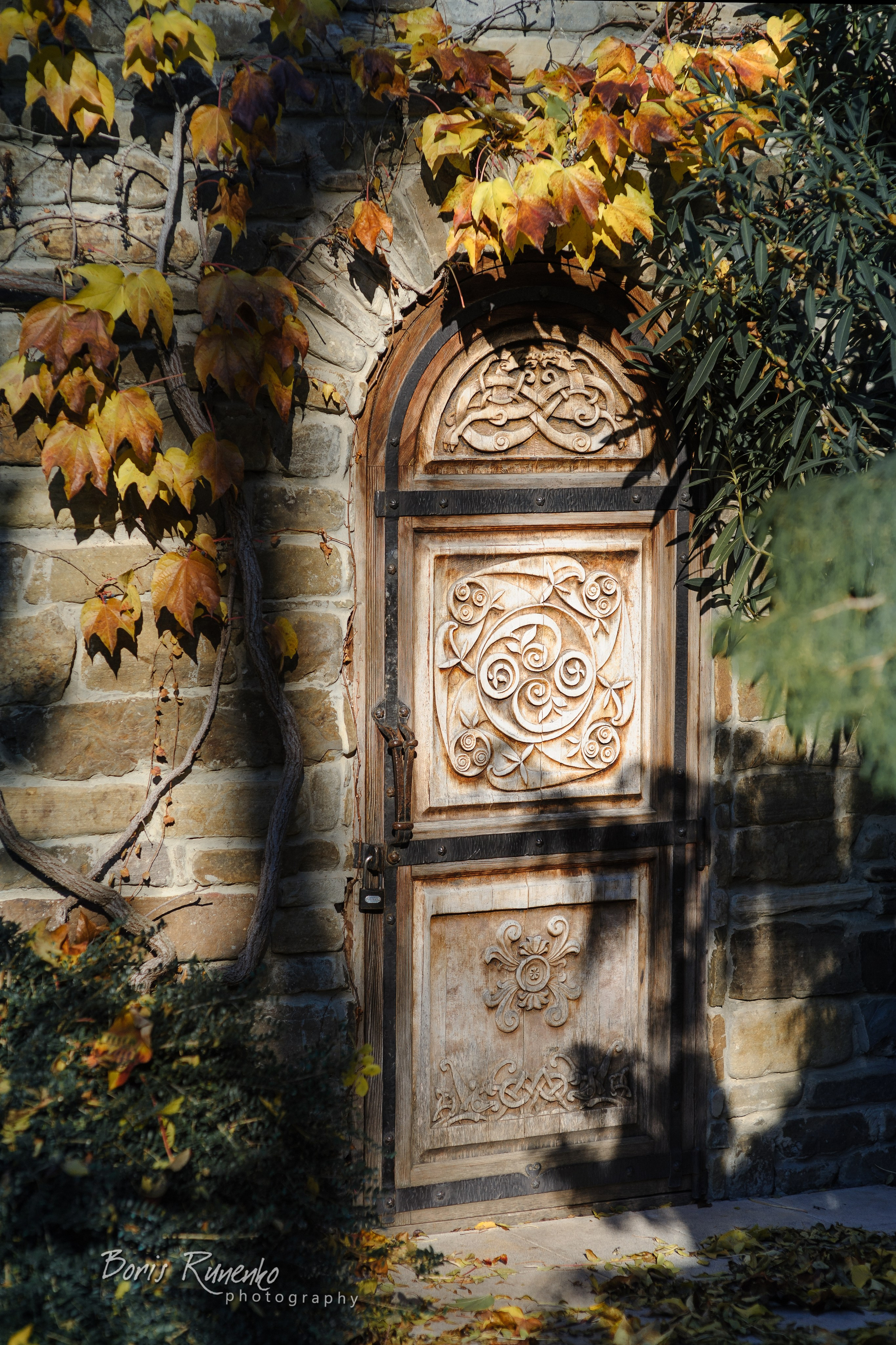 КАБАРДИНКА. СТАРЫЙ ПАРК. Борис Руненко. Пейзажный и travel-фотограф