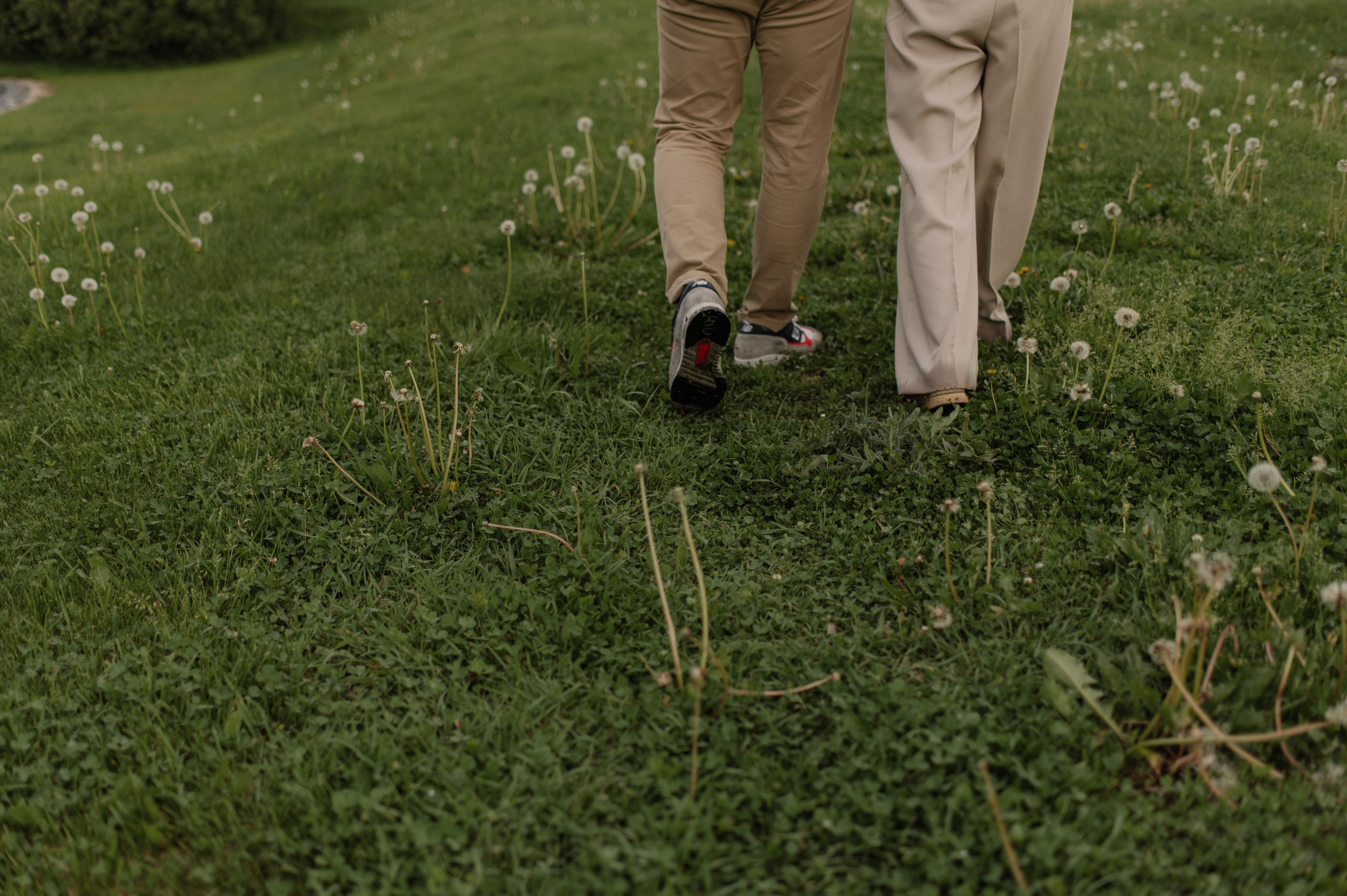 Маша, Паша и Мия. Фотограф в Москве Анна Литвинова