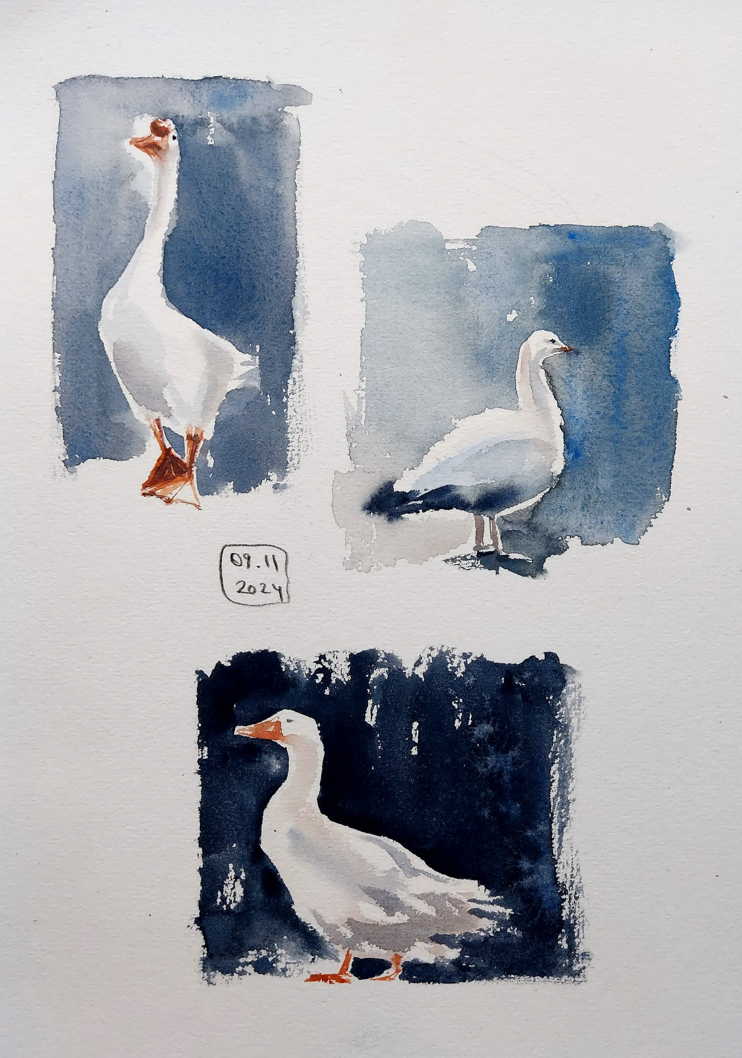 Nov 2024 | A4 | Photo Reference: images from Google Search