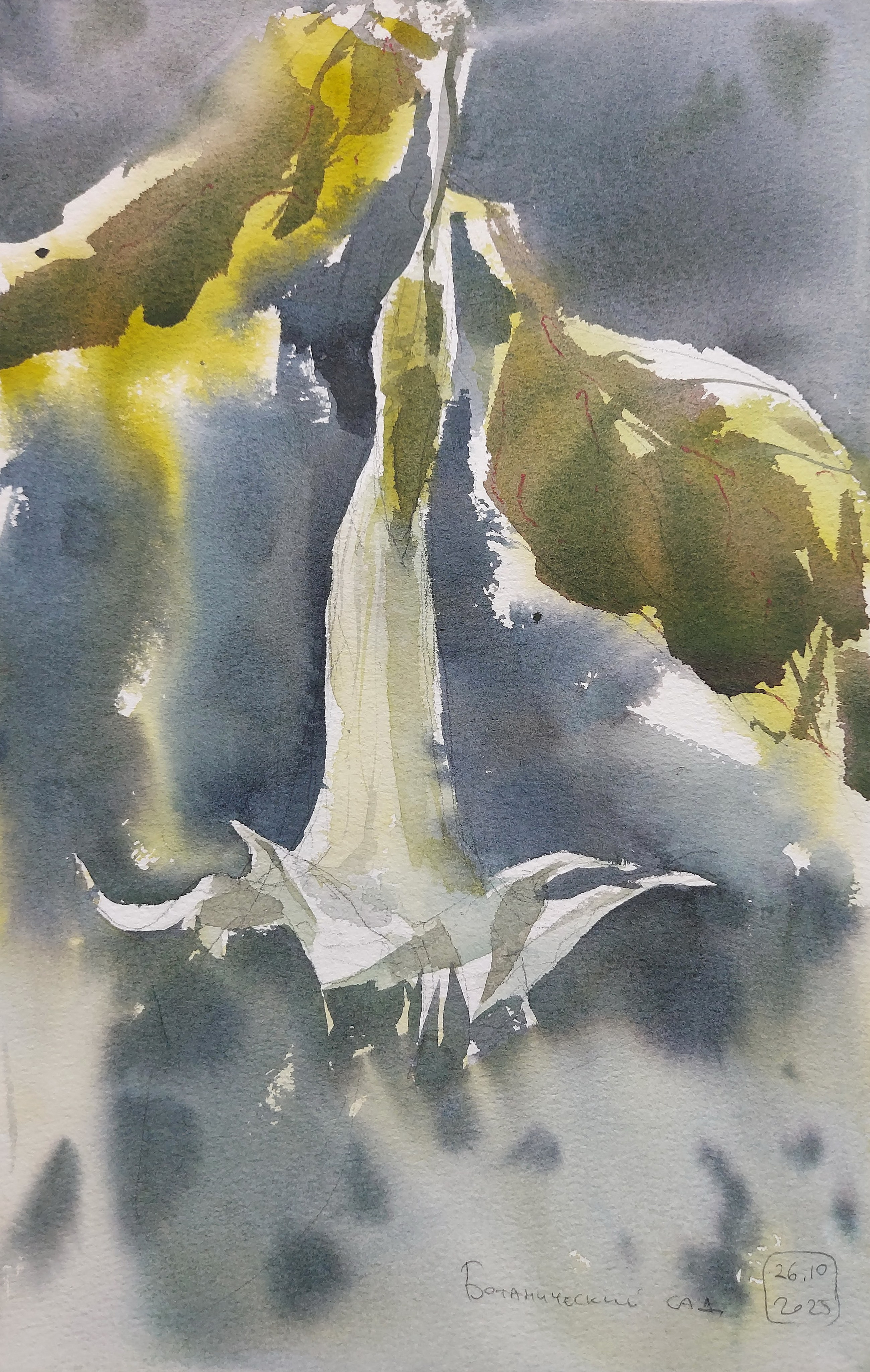 Flowers. Alexander Manaenkov | Watercolor Artist from Siberia