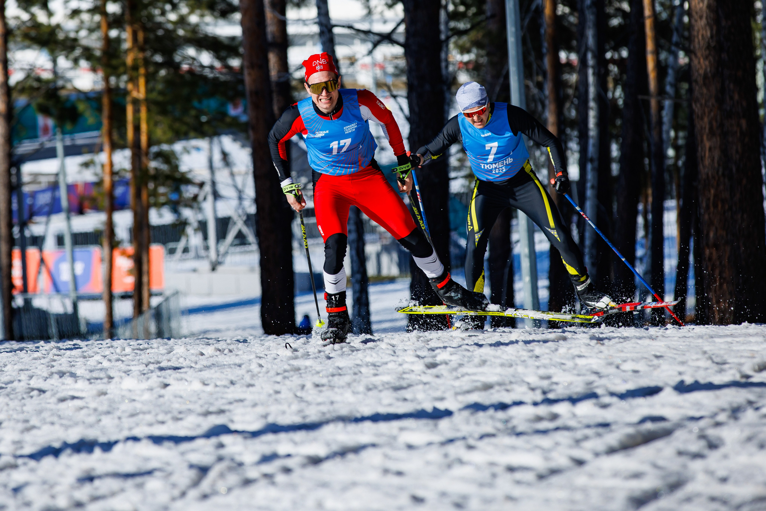 Лыжные гонки. Главная