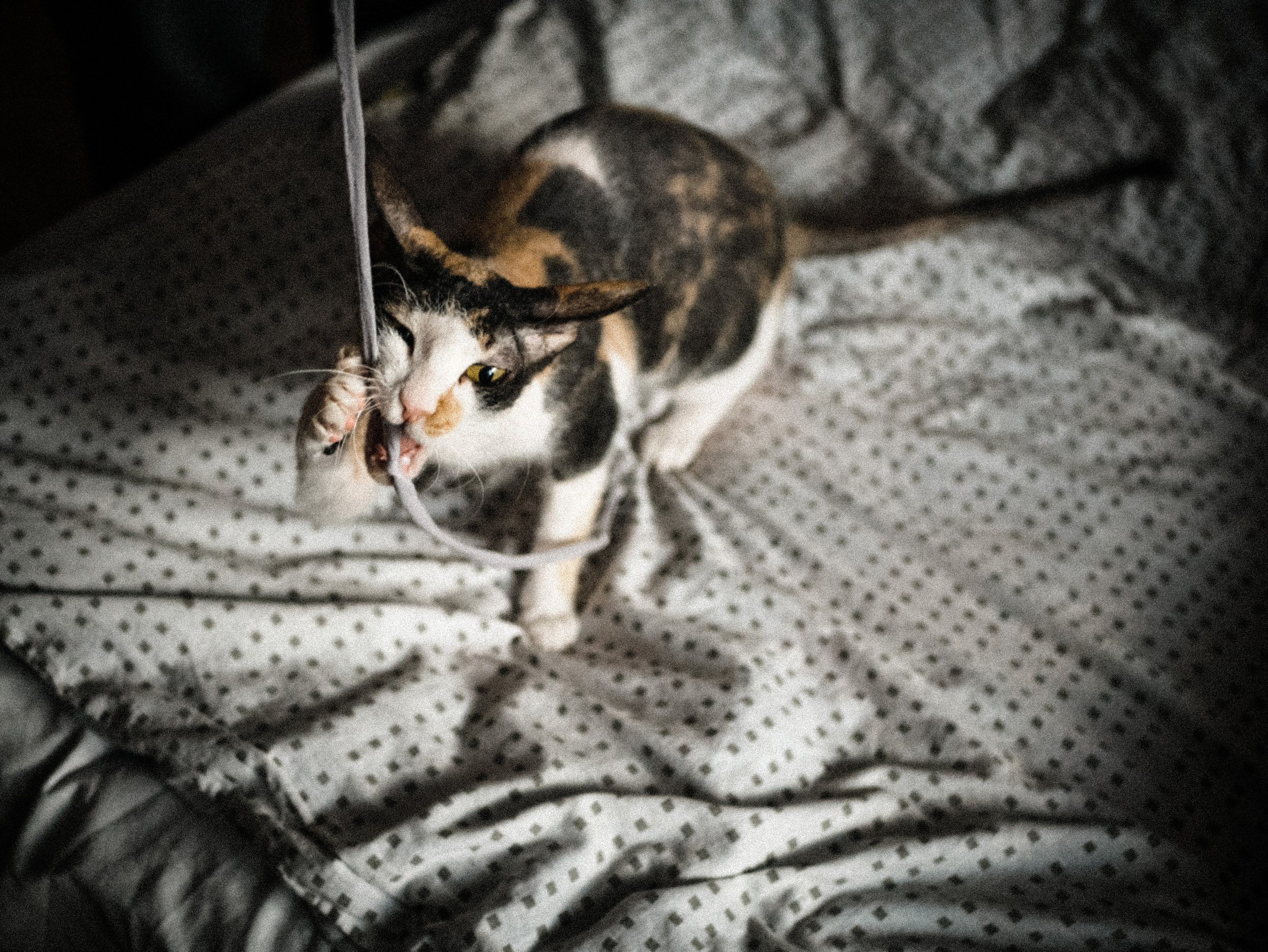 Амир и София. Фотограф Нэля Хаматова