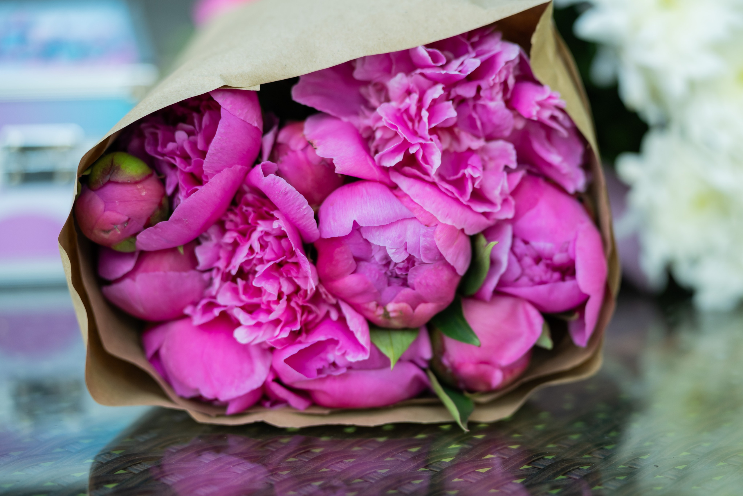 Мишель 12лет. Репортажный фотограф Сергей Дроздов