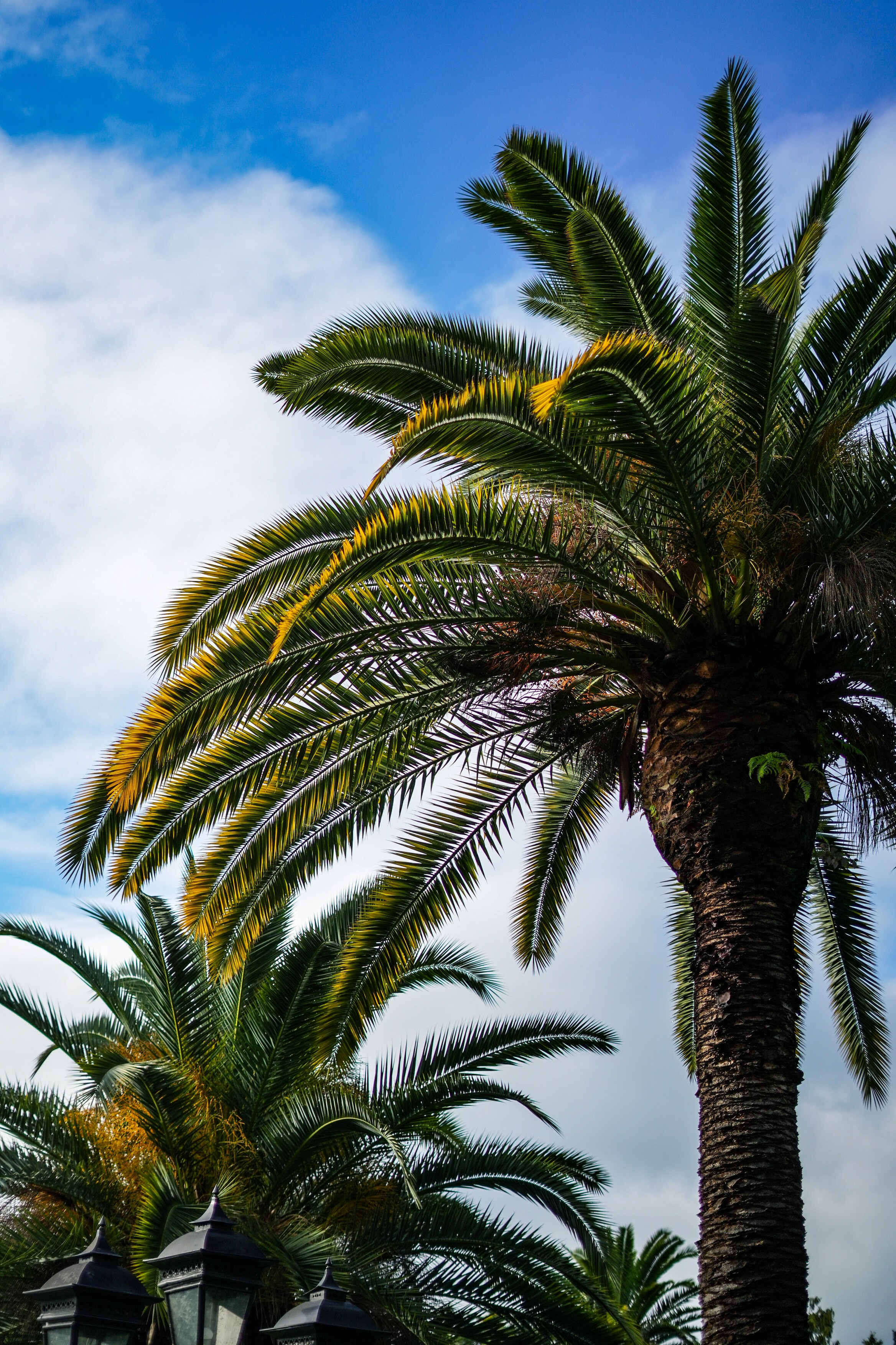 Абхазия открытки. Главная