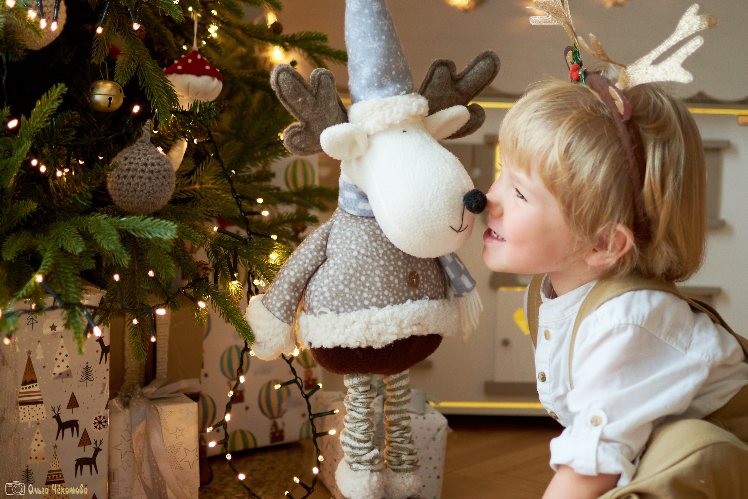 Новогодняя сказка для Пети. Ольга Чёкотова (Фотограф Кострома)