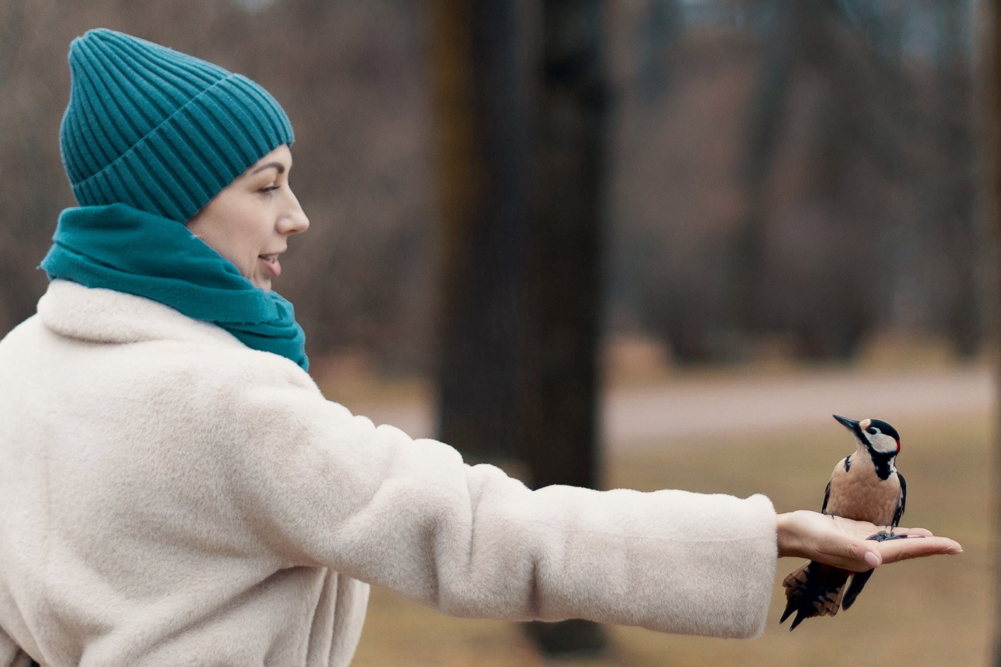 Екатерининский Парк (Царское Село). Фотограф Валерий Сабрам