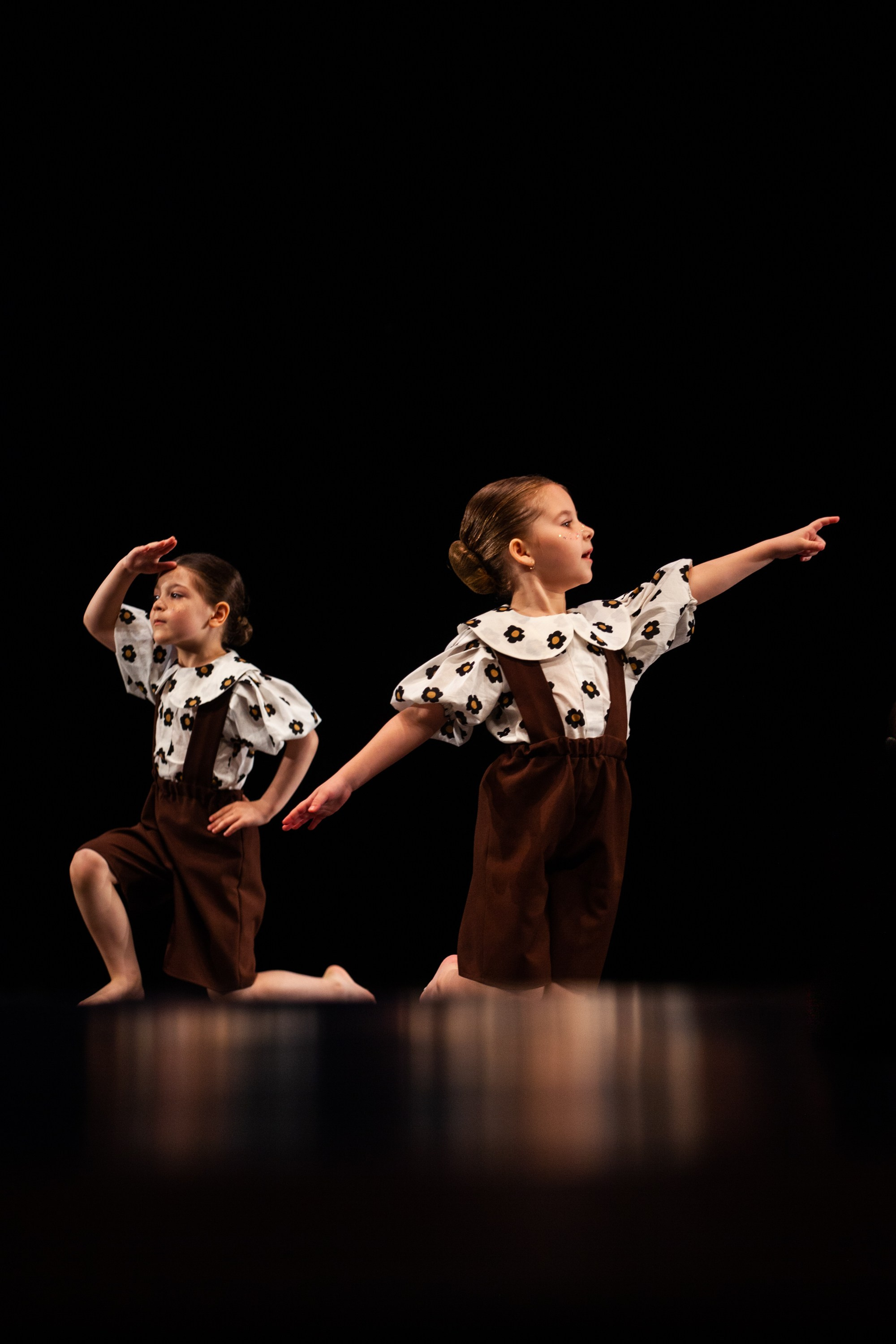 Концерты. Виолетта Скрипка