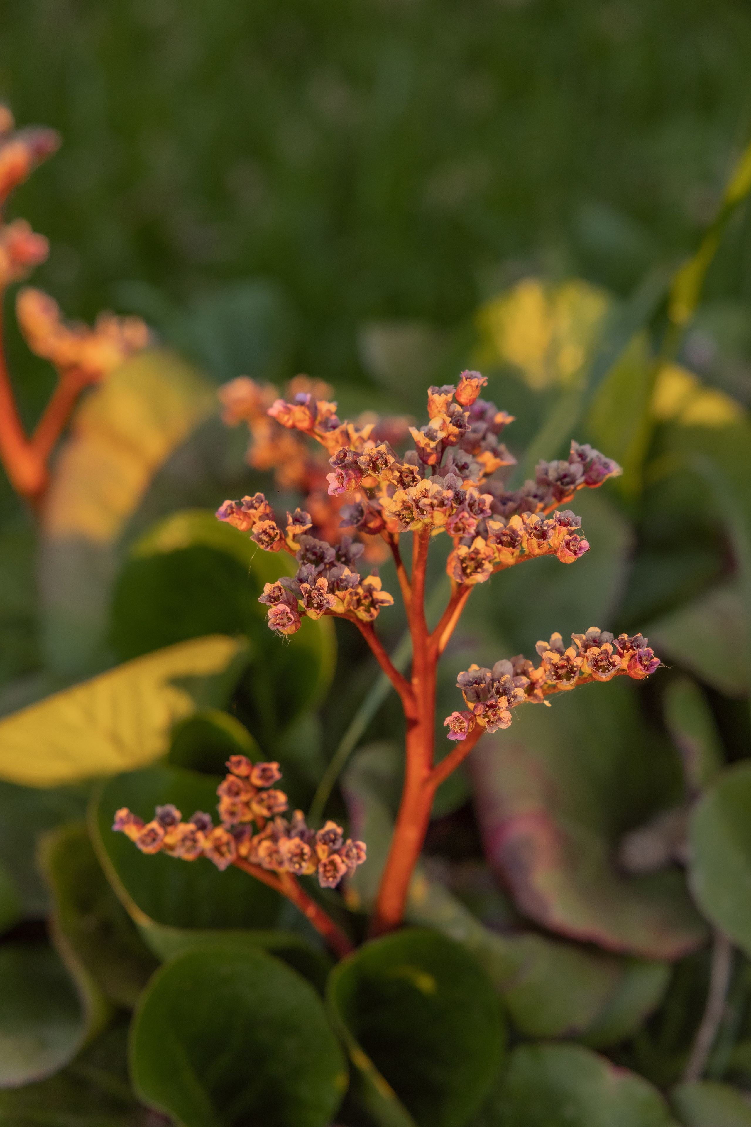 Анна «Настоящая, искренняя». Дарья Бухреева — фотограф, видеограф и фототерапевт. Москва и мир