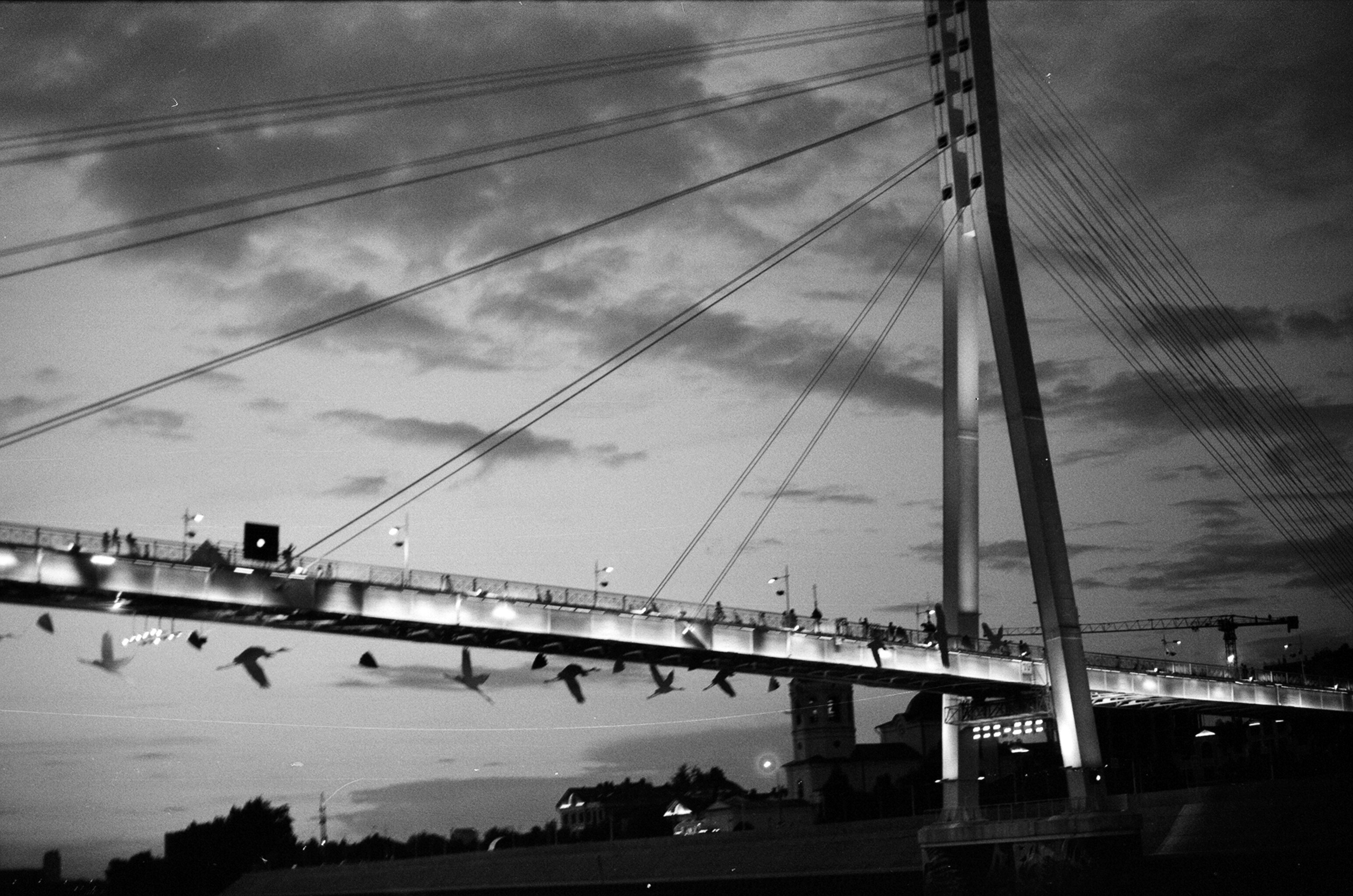 Альбом пленочных ЧБ-фото. Репортажный и семейный фотограф — Шелихов Сергей