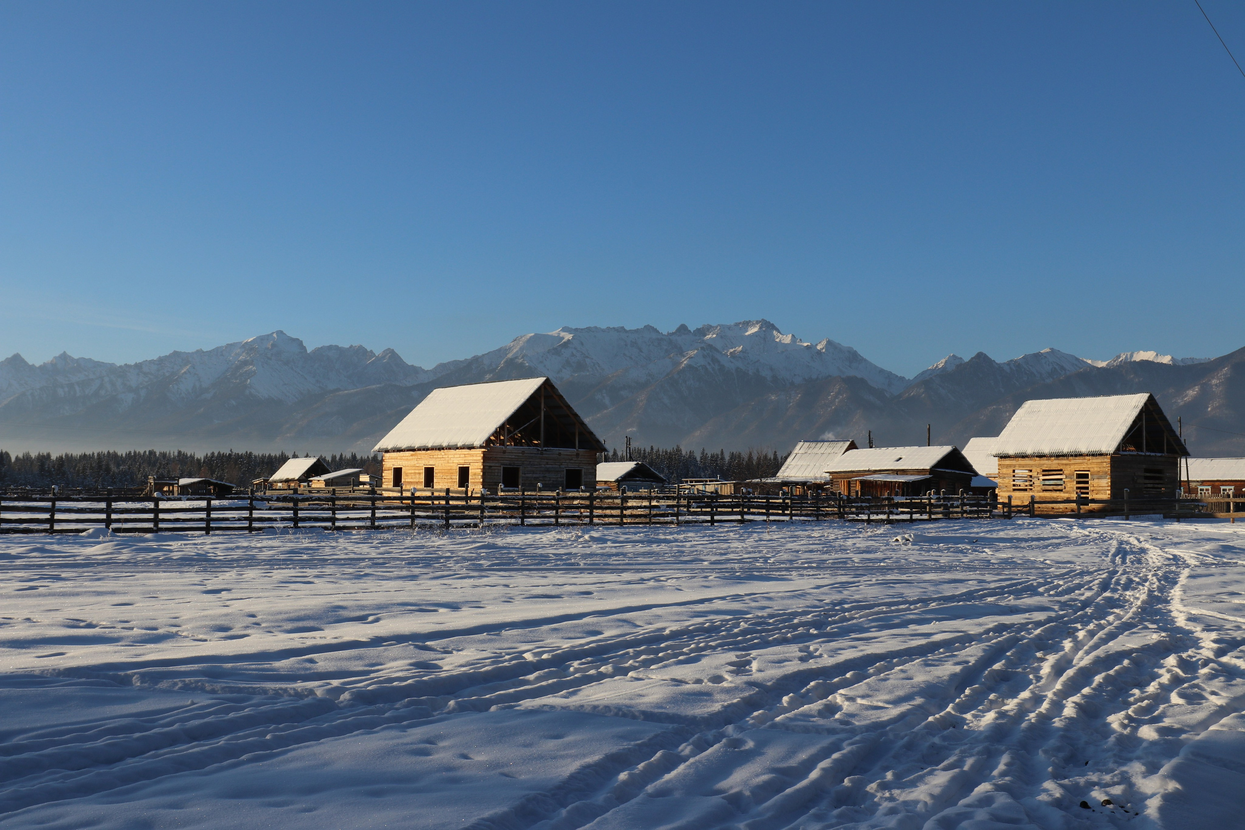 Аршан. Январь 2022. Путешественник-фотограф из Санкт-Петербурга Татьяна Свистулина