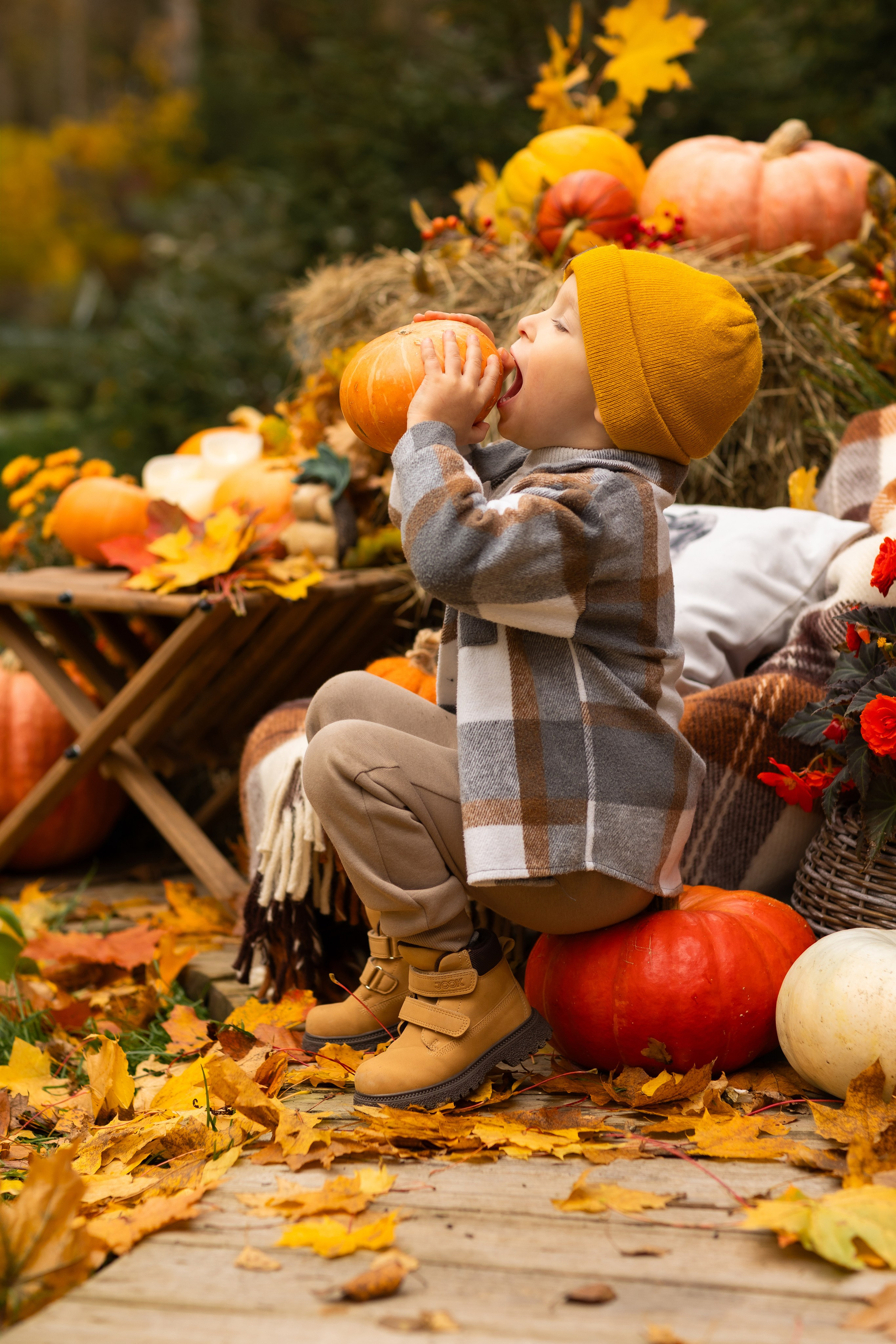 Осень. Профессиональный ретушер Москва и весь мир — Елена Тимченко