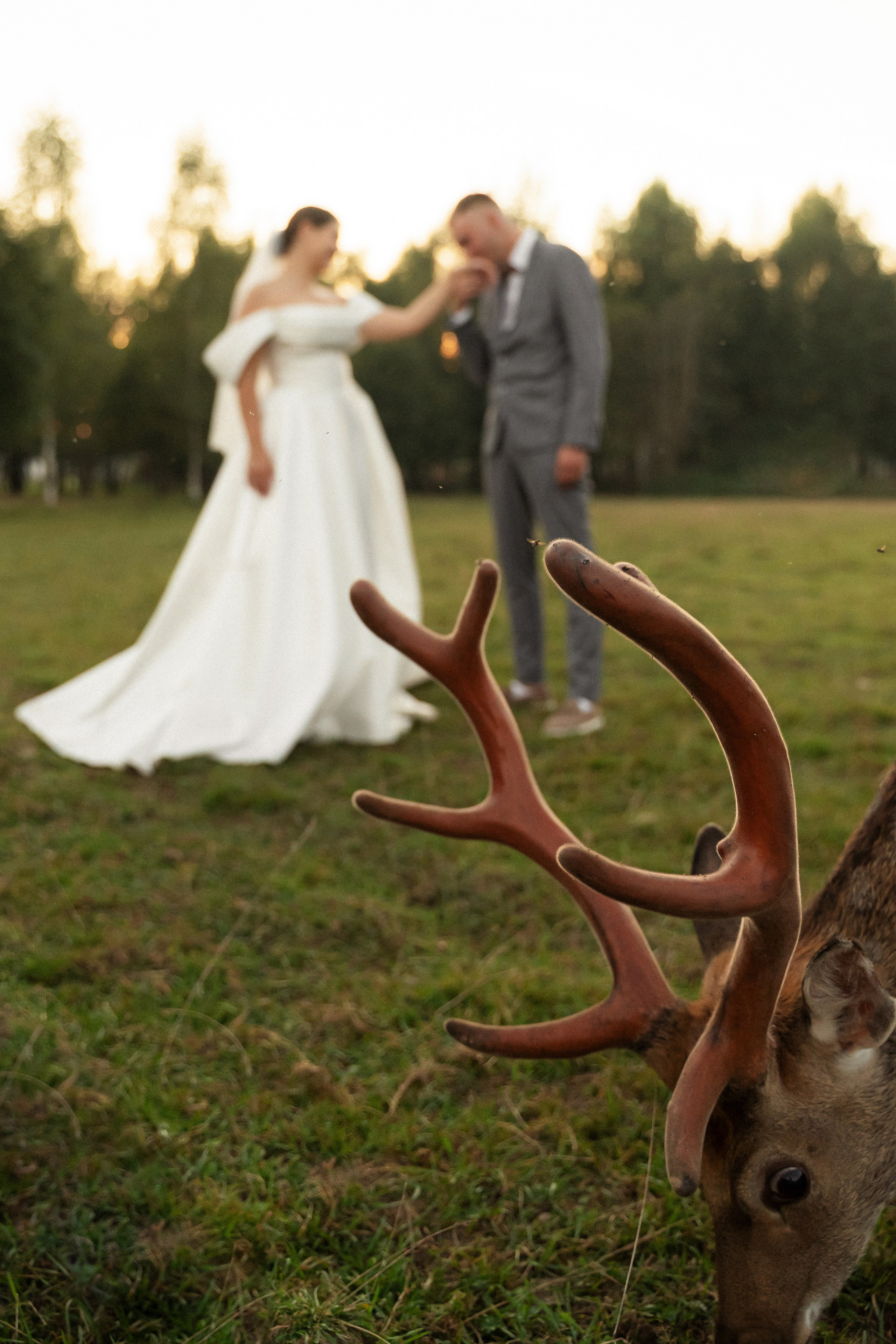 Алина и Сергей. Фотограф Алина Филимонова Тверь