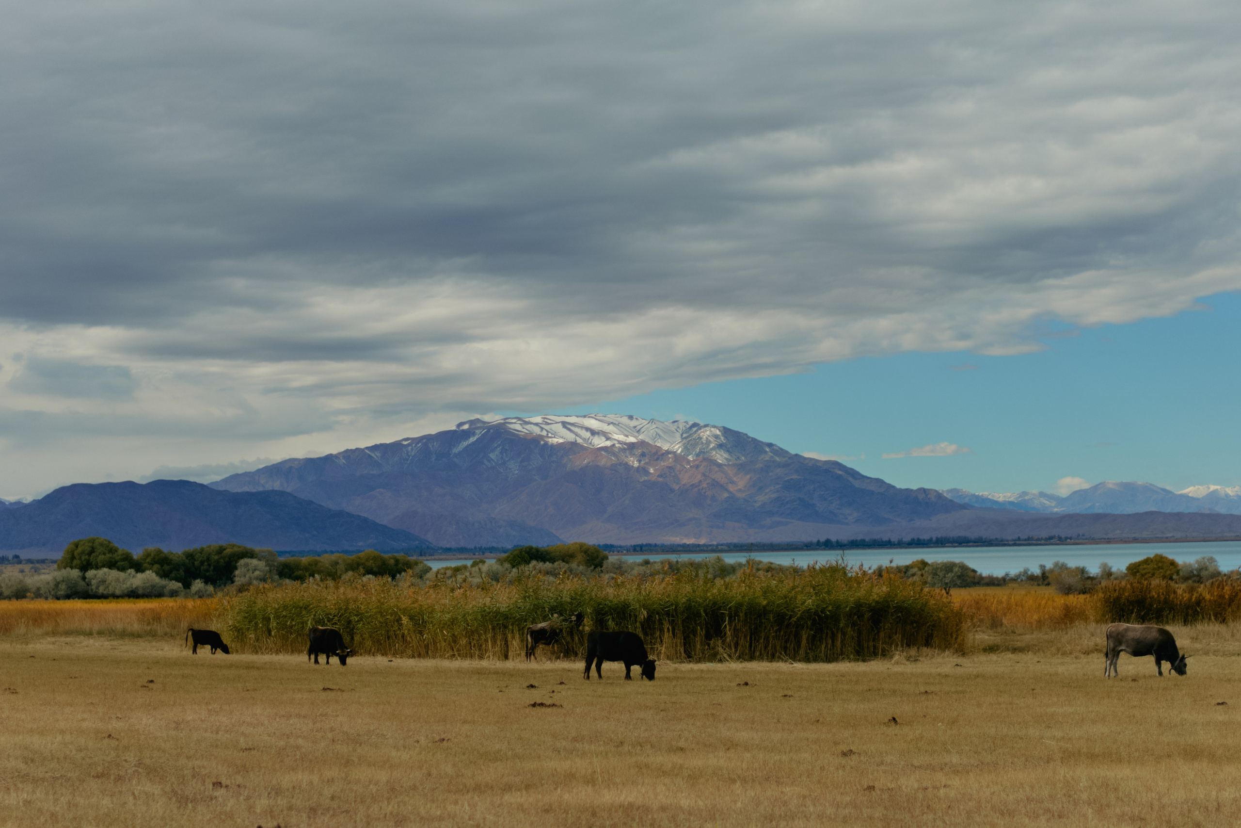Кыргызтан. Профессиональный Фотограф во Владимире, в Москве и в Суздале — Полина Романычева