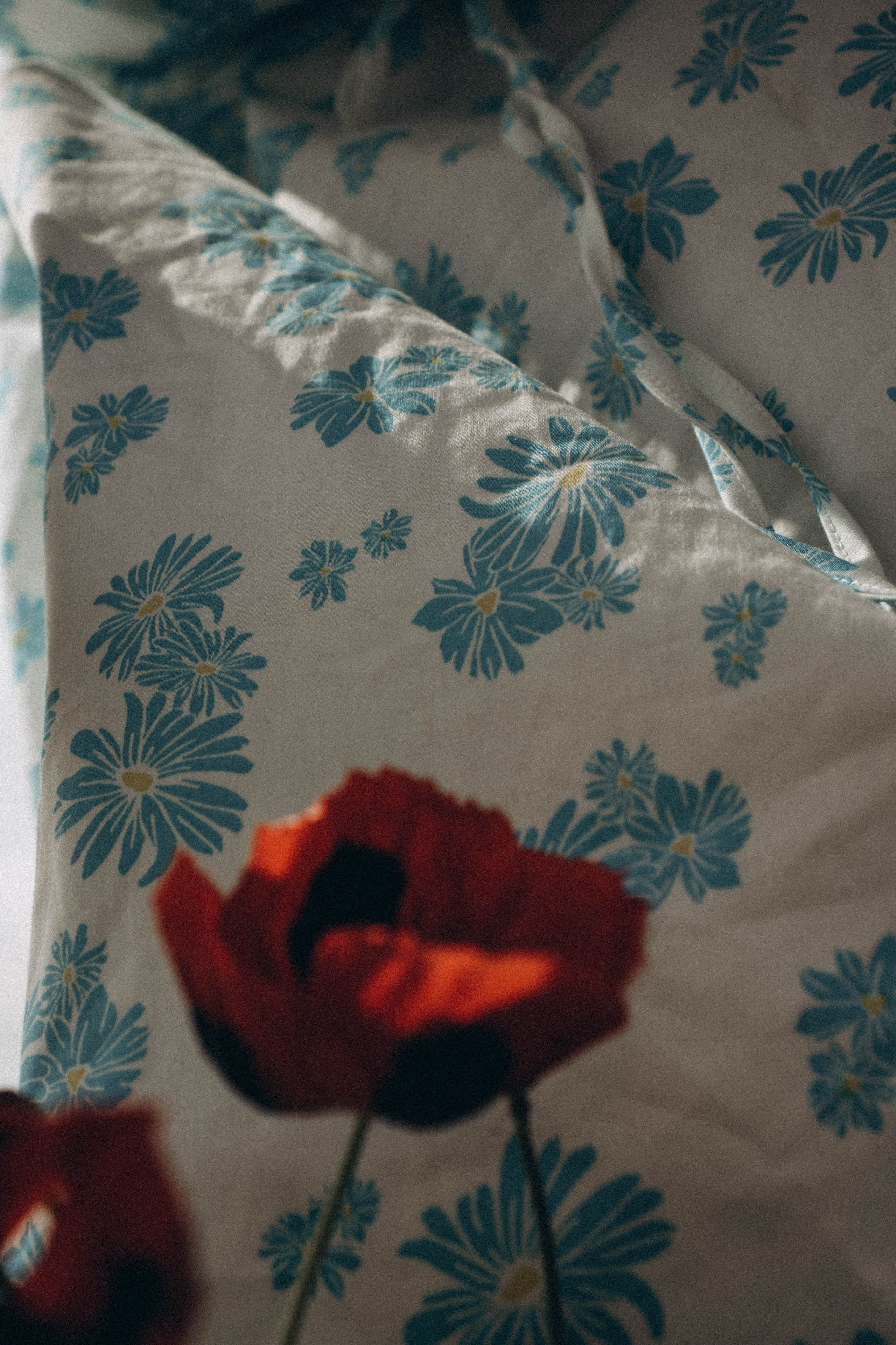 Цветочная поляна. Профессиональный фотограф, Санкт-Петербург — Виктория Богомолова