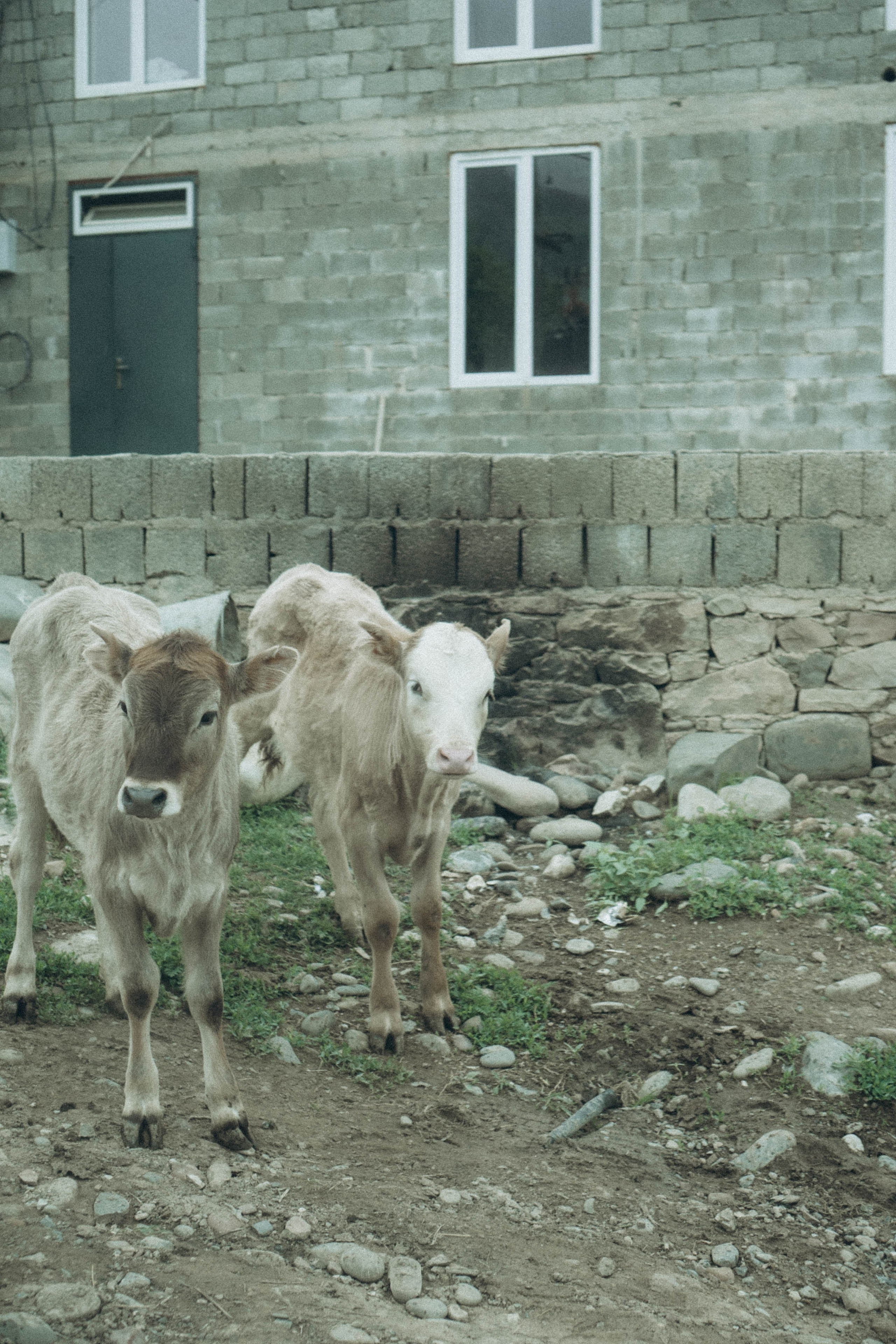 Кавказ. Профессиональный фотограф, Санкт-Петербург — Виктория Богомолова