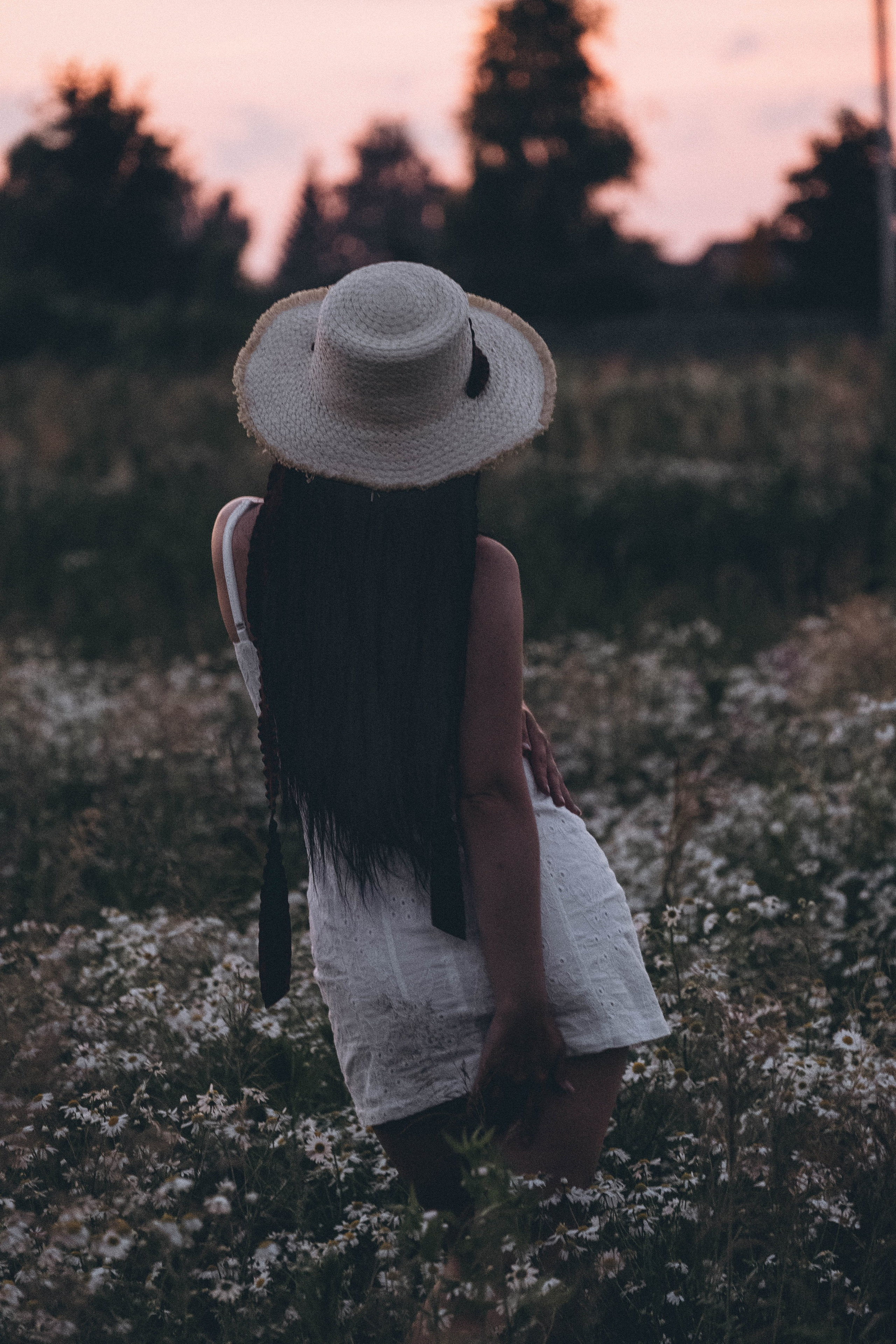 Ромашковое поле. Профессиональный фотограф, Санкт-Петербург — Виктория Богомолова